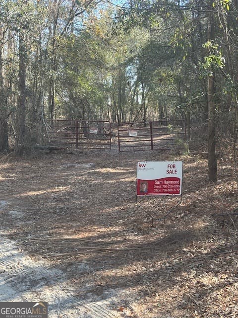 agriculture for sale at 0 Starfish Lane, Lyons, GA 30436 — photo 2