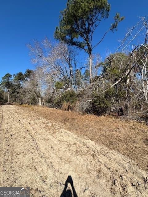 agriculture for sale at 0 Starfish Lane, Lyons, GA 30436 — photo 6