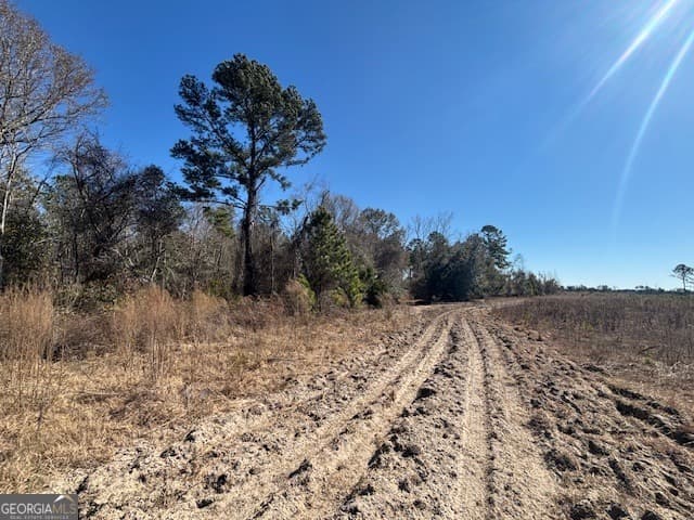 agriculture for sale at 0 Starfish Lane, Lyons, GA 30436 — photo 7