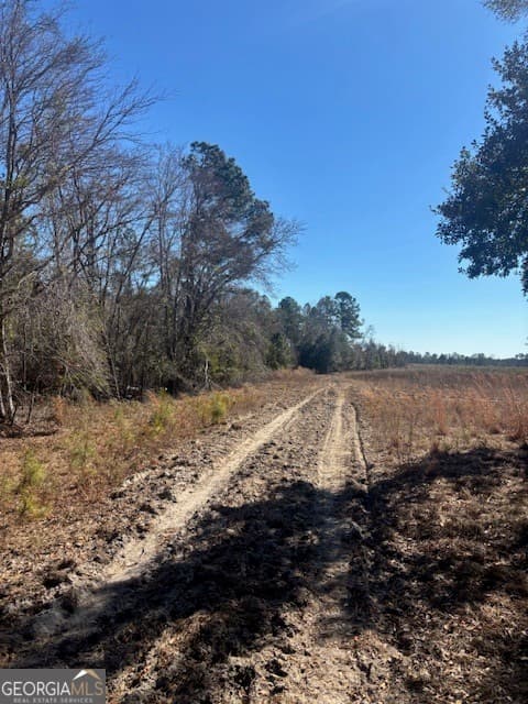 agriculture for sale at 0 Starfish Lane, Lyons, GA 30436 — photo 3