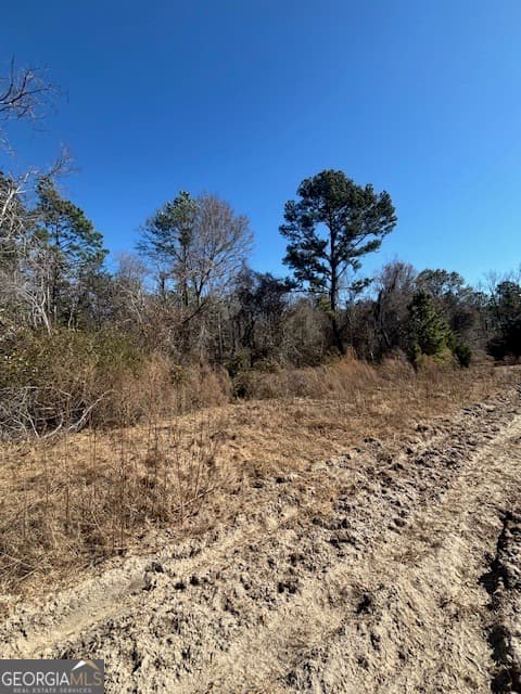 agriculture for sale at 0 Starfish Lane, Lyons, GA 30436 — photo 5