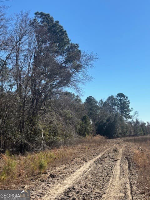 agriculture for sale at 0 Starfish Lane, Lyons, GA 30436 — photo 4