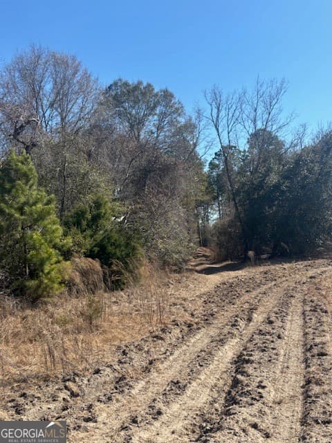 agriculture for sale at 0 Starfish Lane, Lyons, GA 30436 — photo 8
