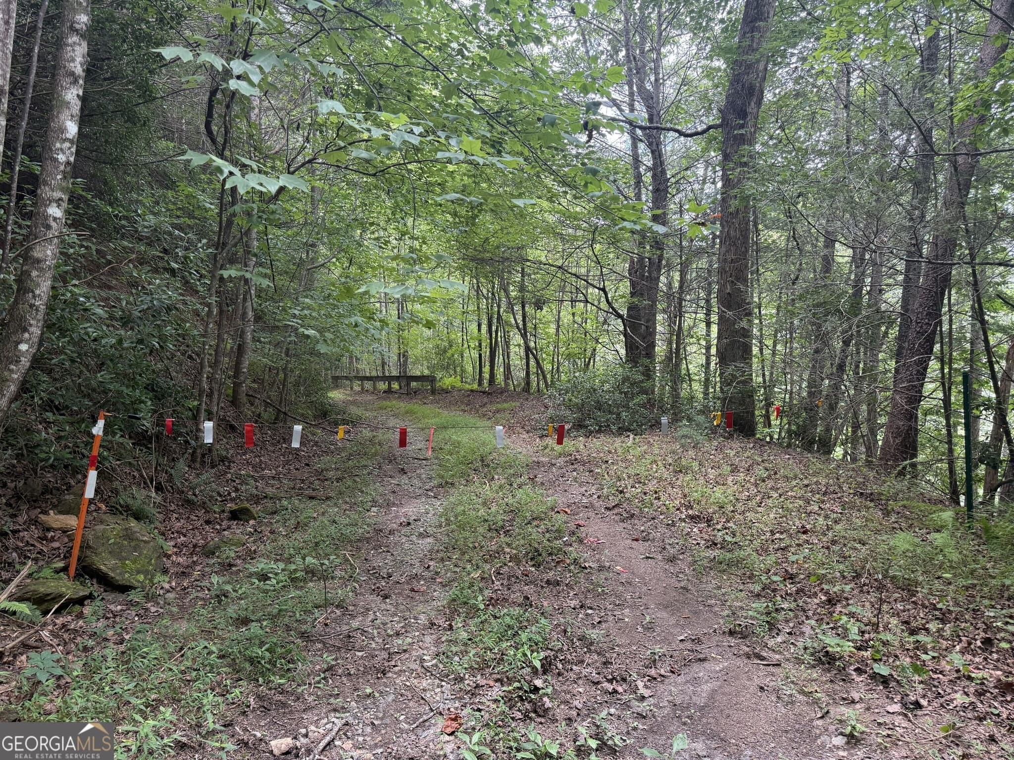 estate lot for sale at 0 Yahoola Indian Trail, Dahlonega, GA 30533 — photo 2