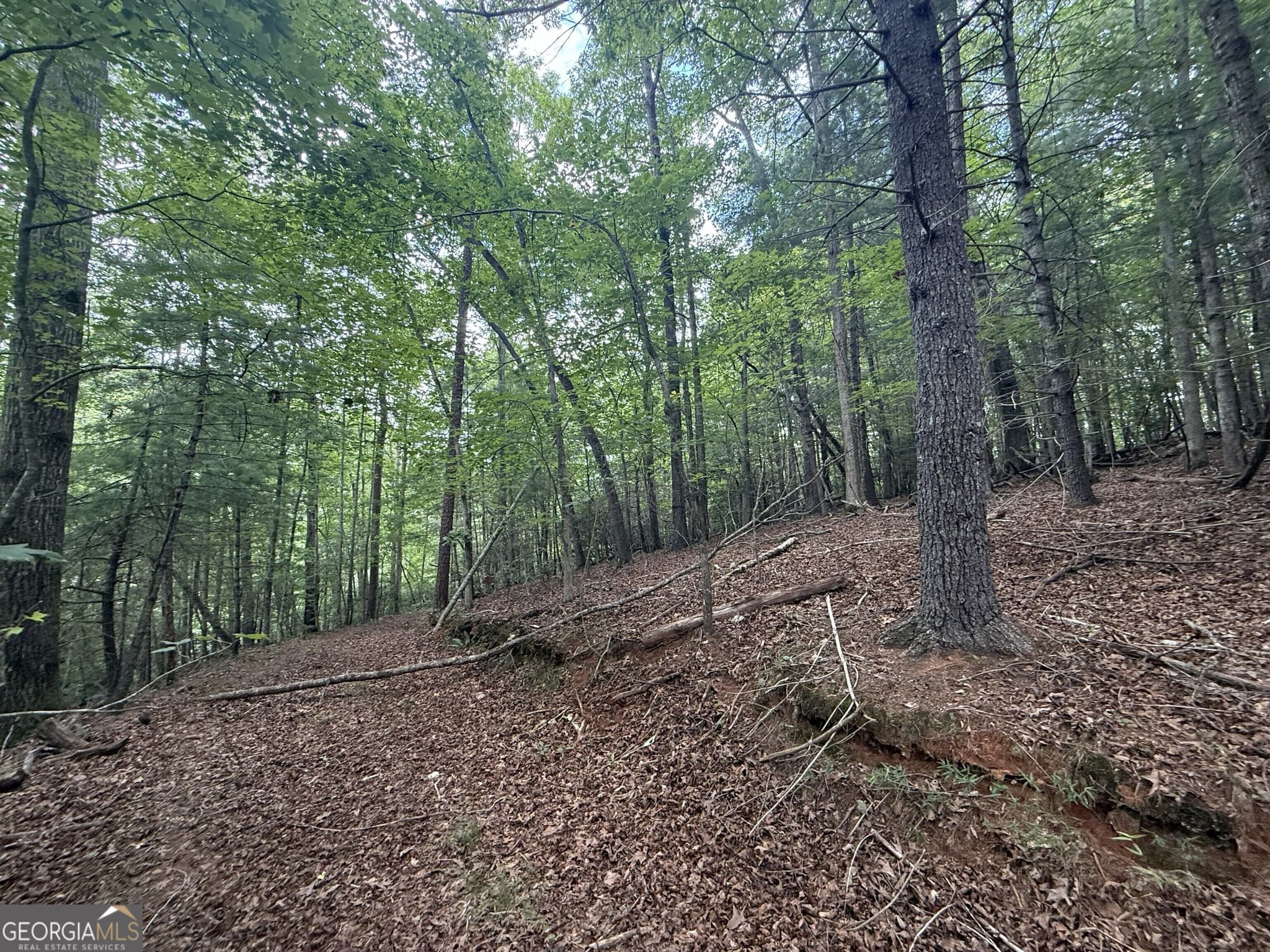 estate lot for sale at 0 Yahoola Indian Trail, Dahlonega, GA 30533 — photo 6