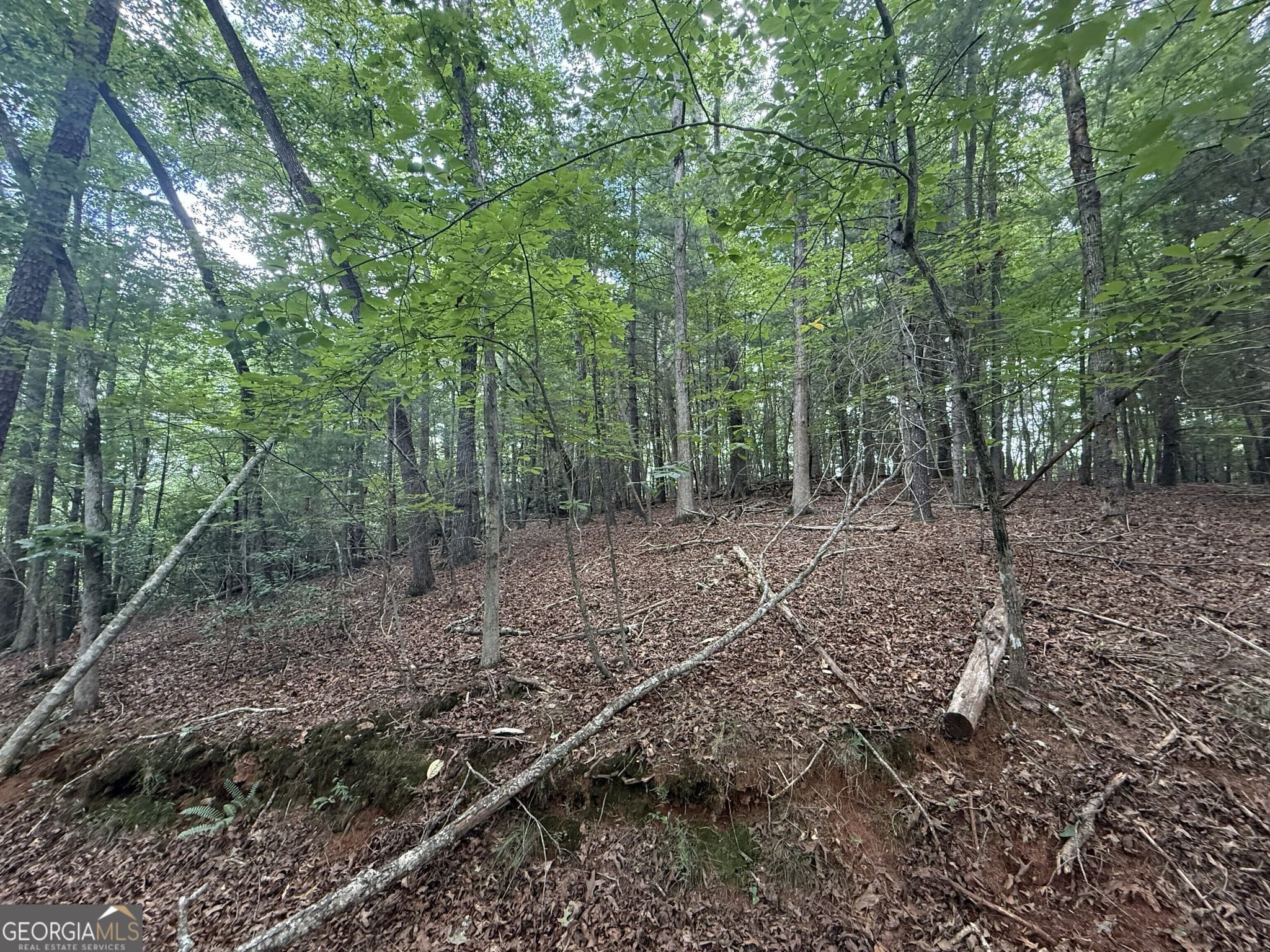 estate lot for sale at 0 Yahoola Indian Trail, Dahlonega, GA 30533 — photo 7
