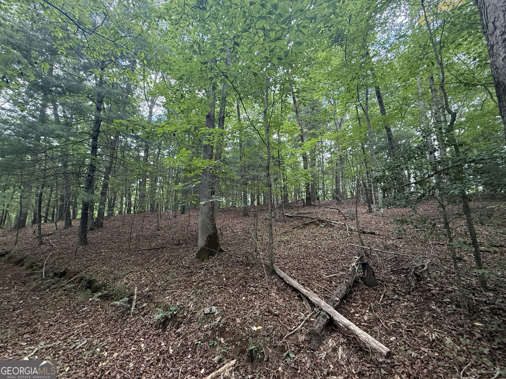 estate lot for sale at 0 Yahoola Indian Trail, Dahlonega, GA 30533 — photo 5