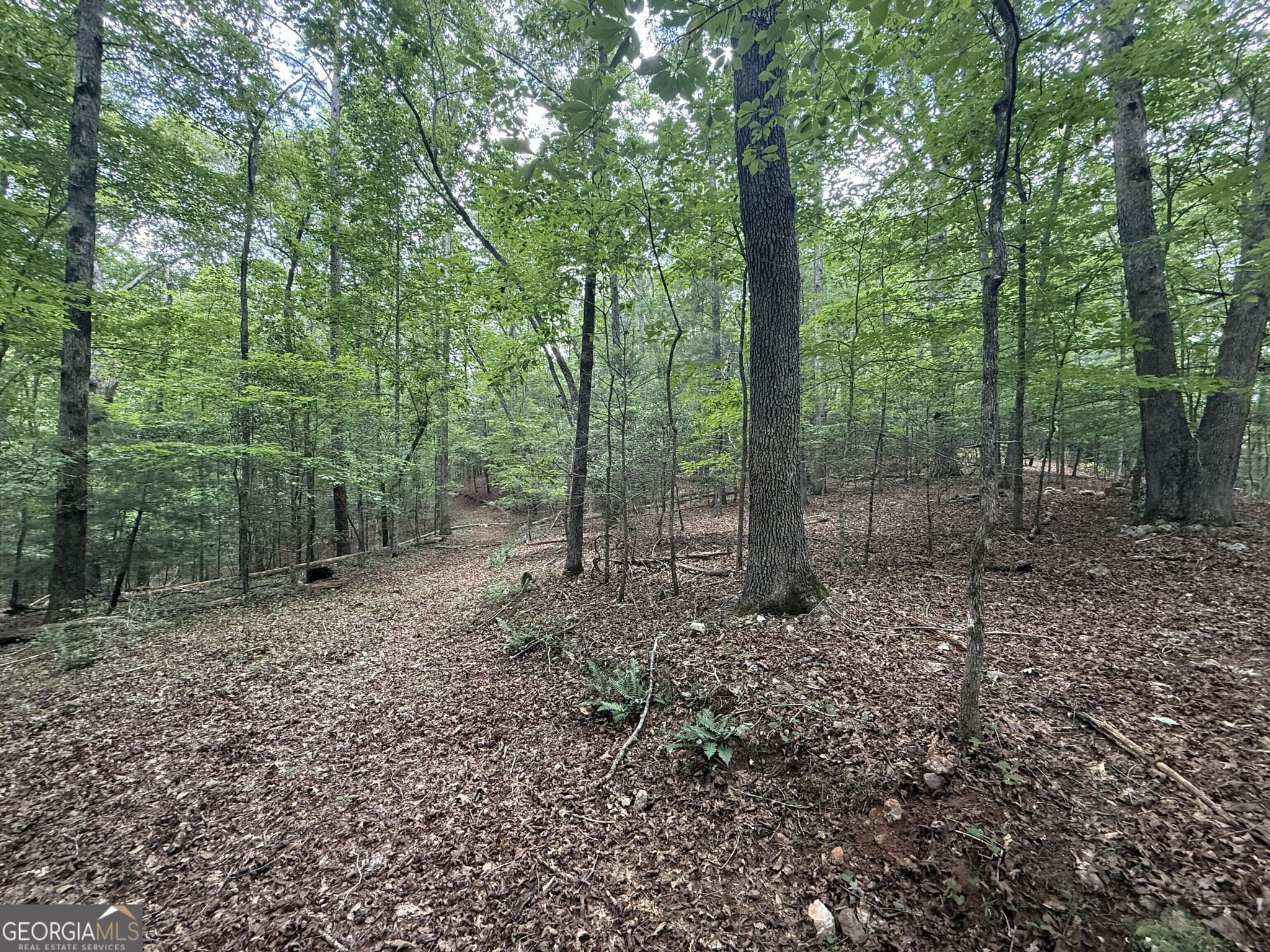 estate lot for sale at 0 Yahoola Indian Trail, Dahlonega, GA 30533 — photo 4