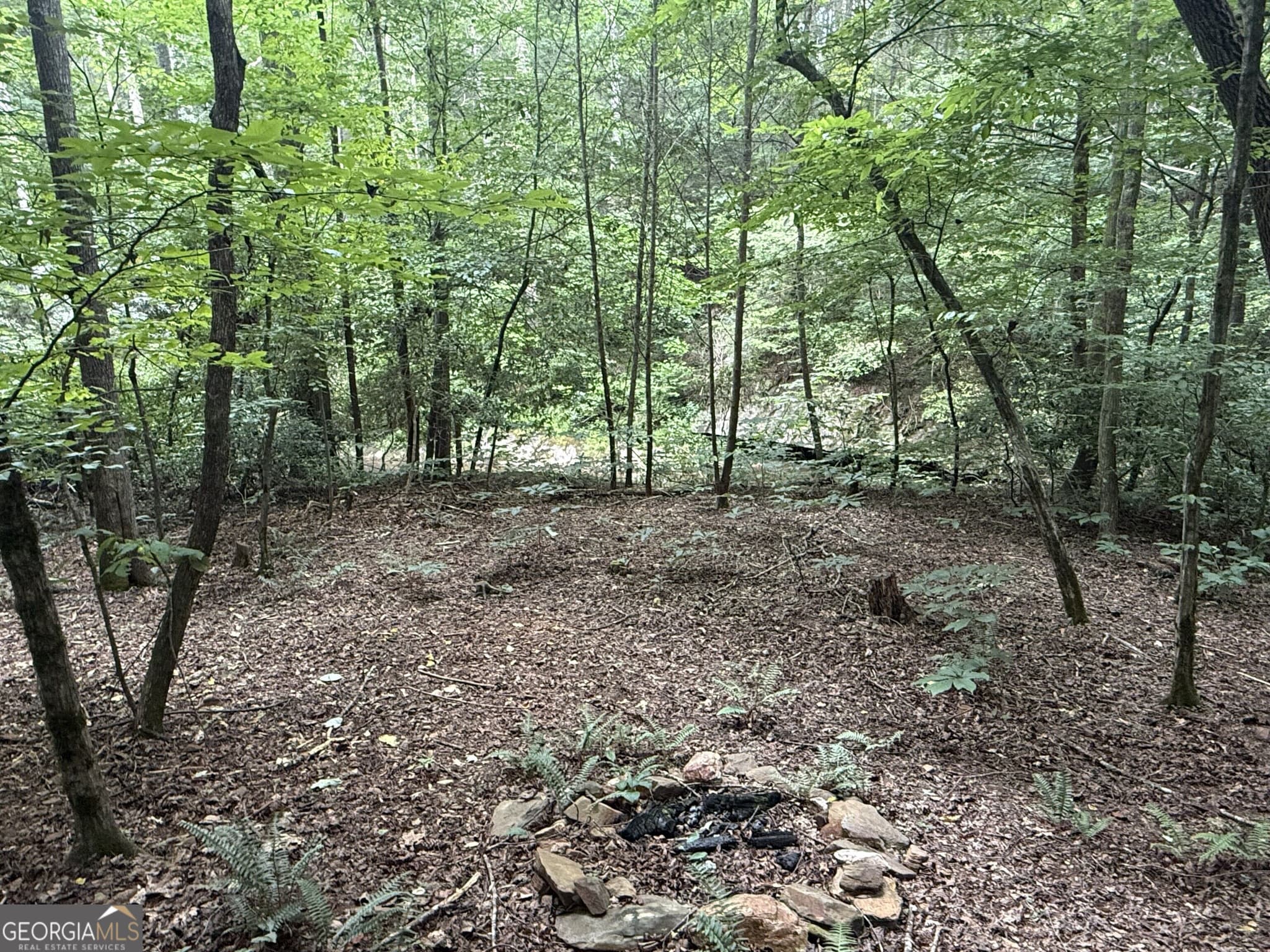 estate lot for sale at 0 Yahoola Indian Trail, Dahlonega, GA 30533 — photo 8