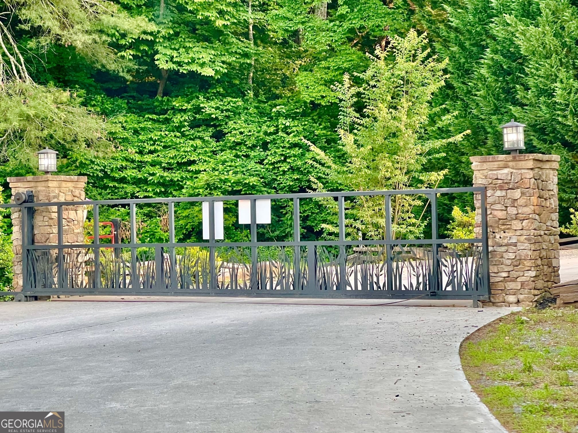 residential lot for sale at 136 Mountain Meadows Circle, Morganton, GA 30560 — photo 8