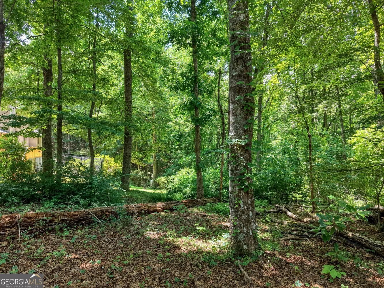 residential lot for sale at 14 B Breezewood Village, Young Harris, GA 30582 — photo 7
