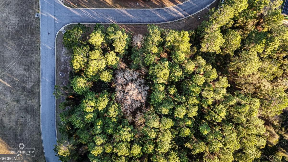 residential lot for sale at V/L 783 Galley Lane, St. Marys, GA 31558 — photo 3