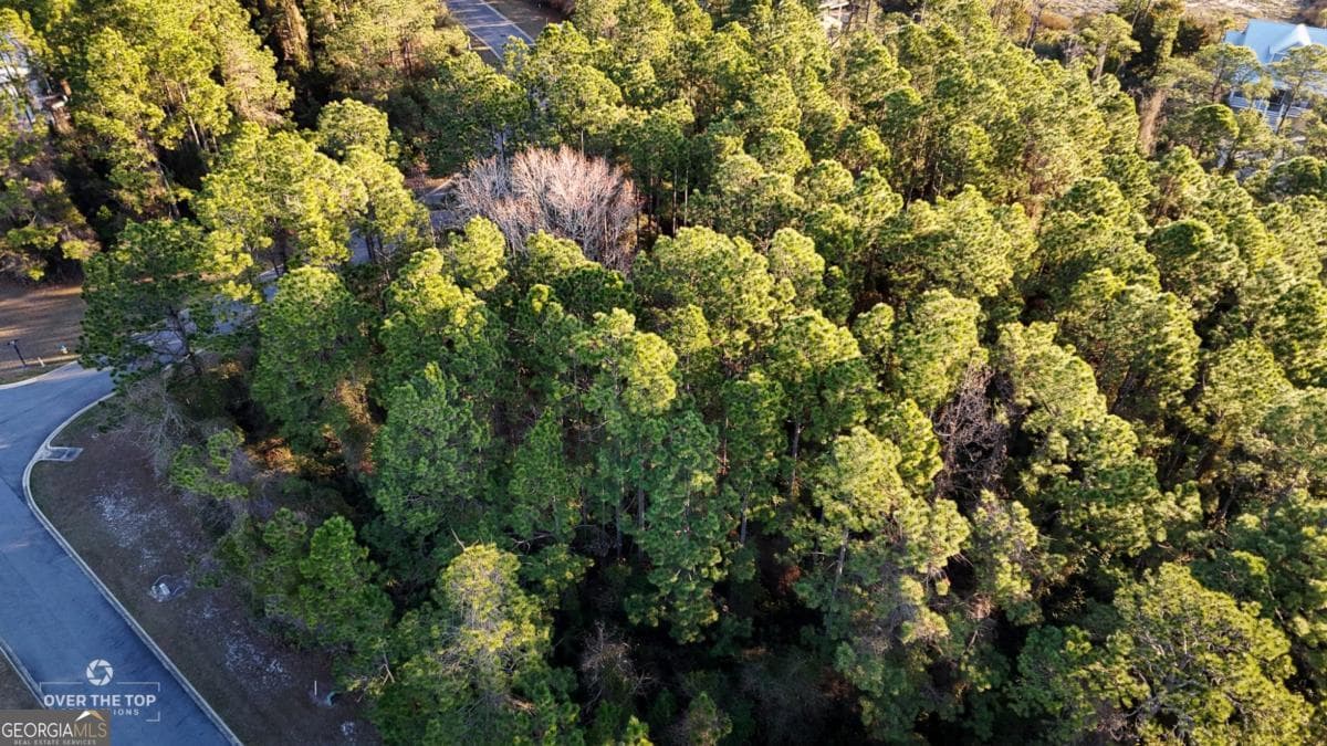 residential lot for sale at V/L 783 Galley Lane, St. Marys, GA 31558