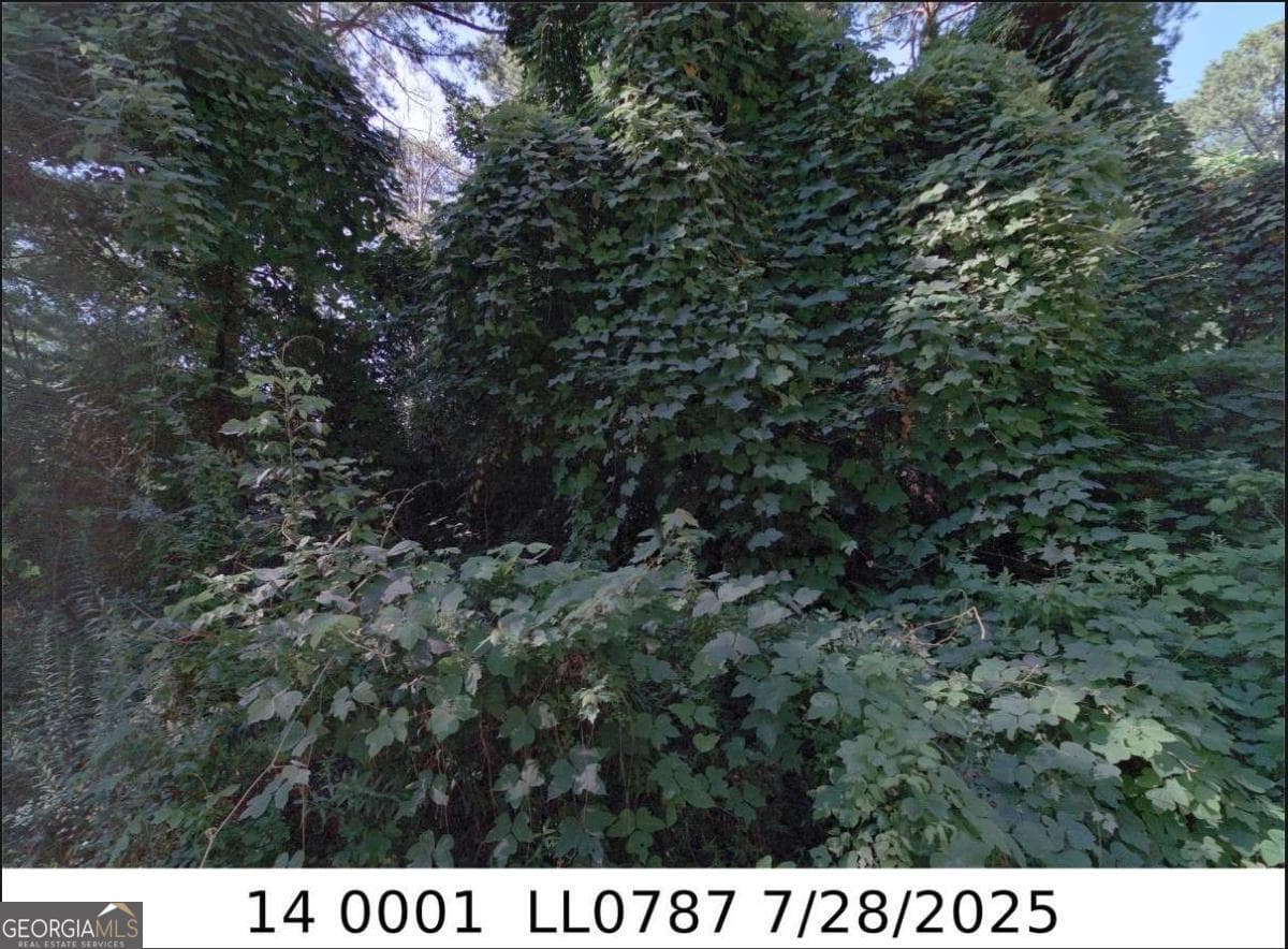 residential lot for sale at 0 Hendon Road, Atlanta, GA 30354 — photo 1 of 2