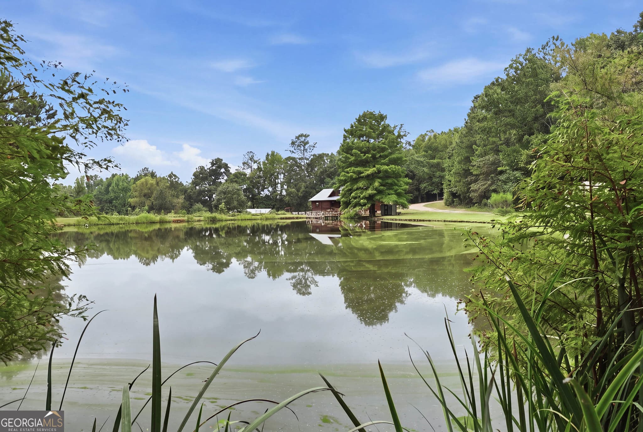 3 bedroom, 2 bathroom, 1,835 sq ft cabin,single family residence under contract at 2342 Davis Brothers Road, Richland, GA 31825 — photo 6