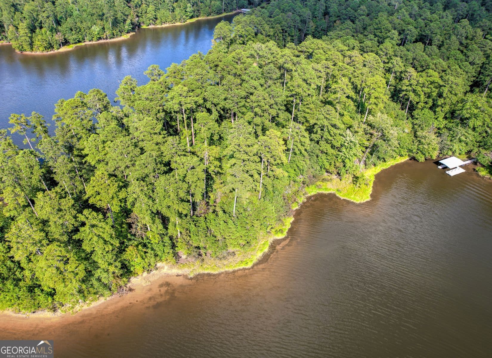 residential lot for sale at 1313 Shimmering Water Cove, Tignall, GA 30668 — photo 6