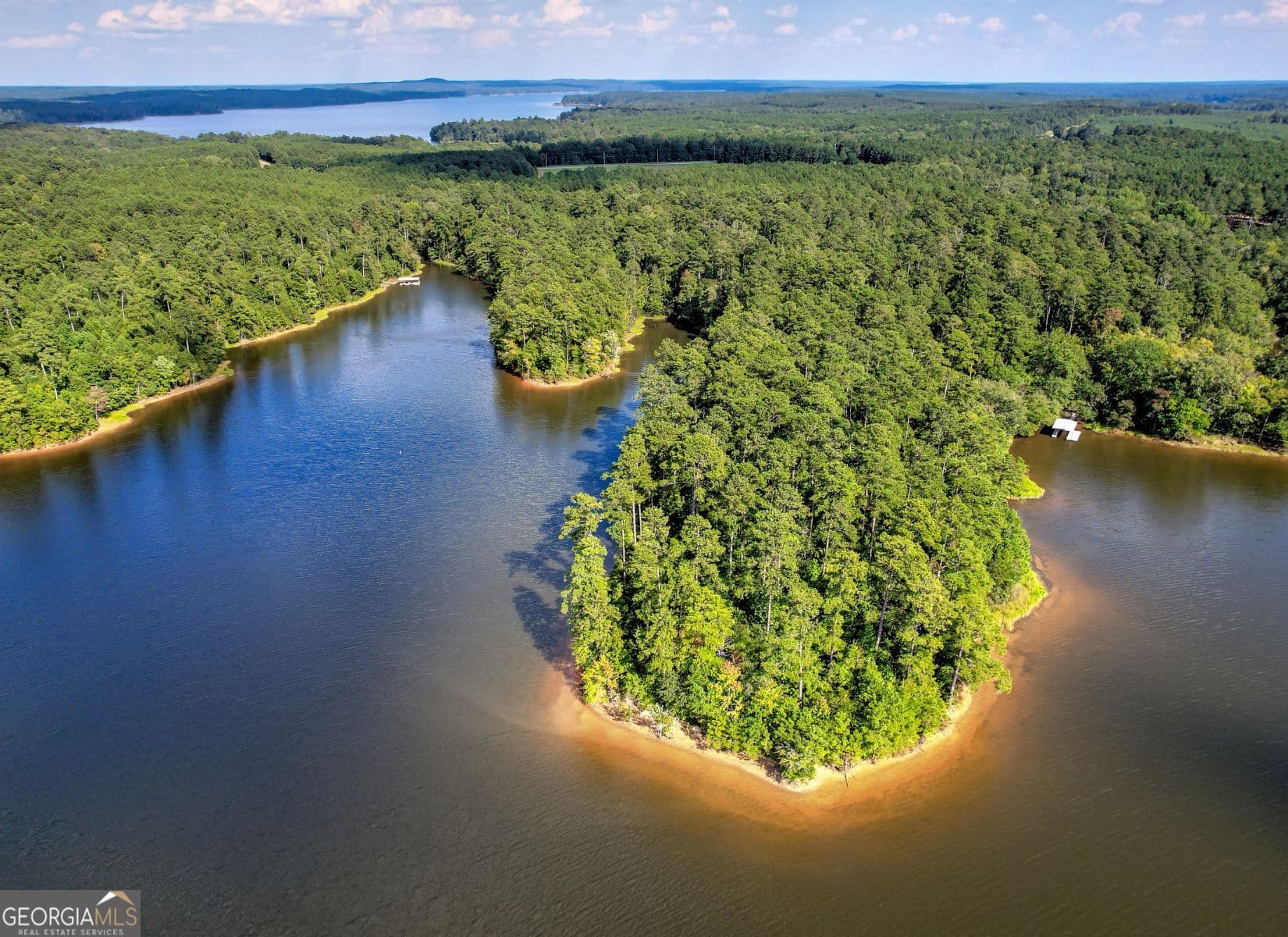 residential lot for sale at 1313 Shimmering Water Cove, Tignall, GA 30668 — photo 5