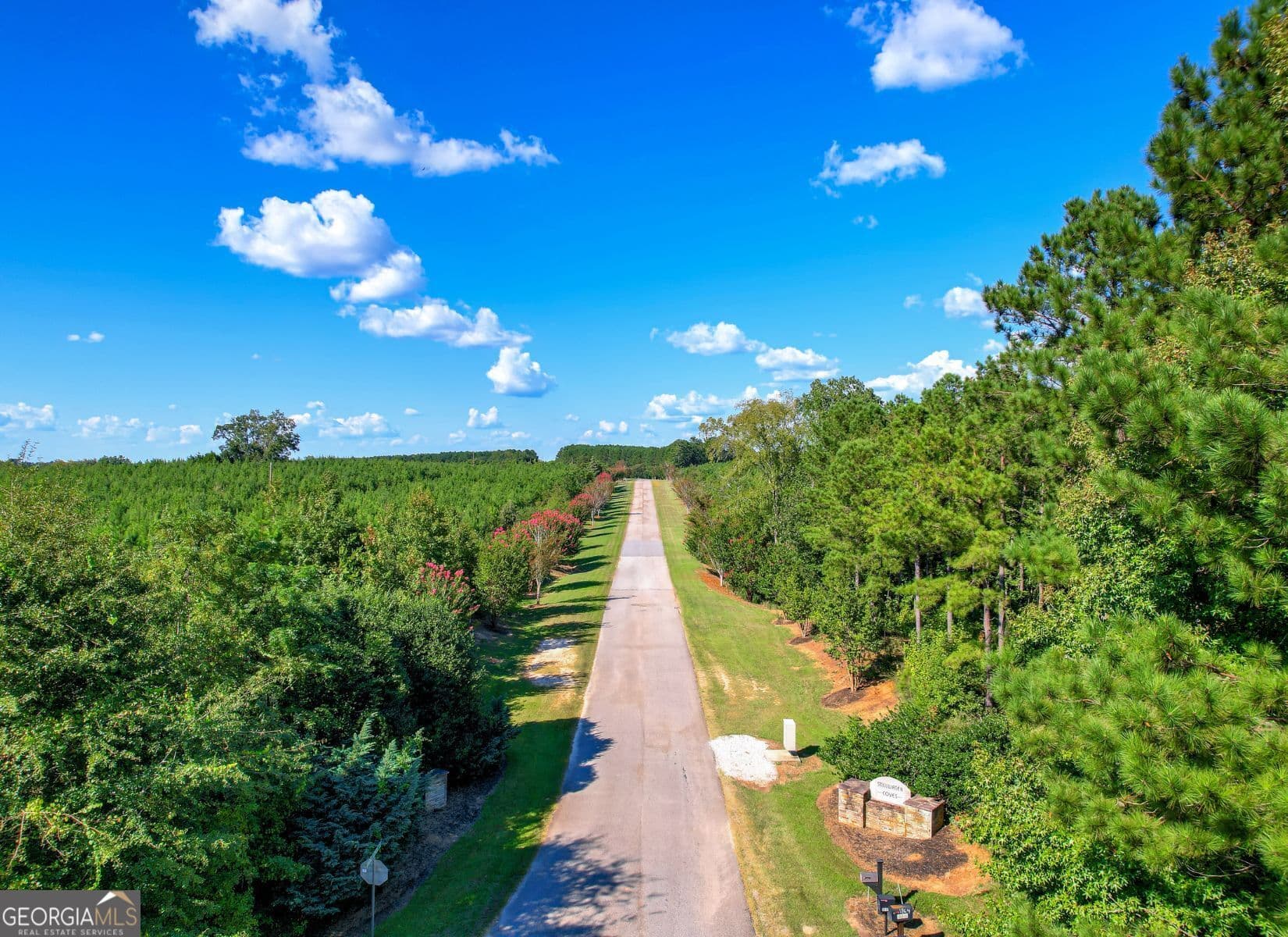 residential lot for sale at 1313 Shimmering Water Cove, Tignall, GA 30668 — photo 10