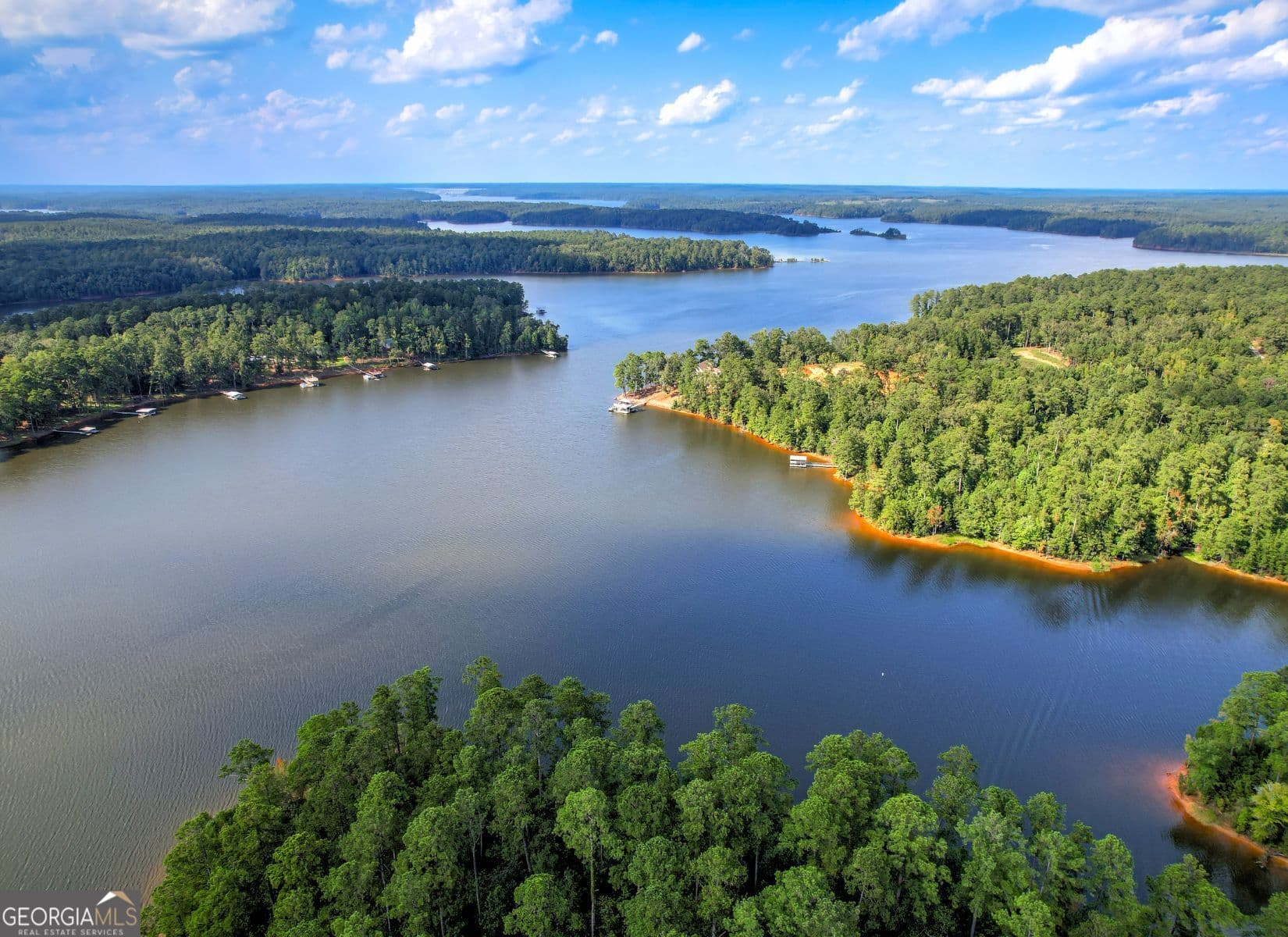 residential lot for sale at 1313 Shimmering Water Cove, Tignall, GA 30668 — photo 4