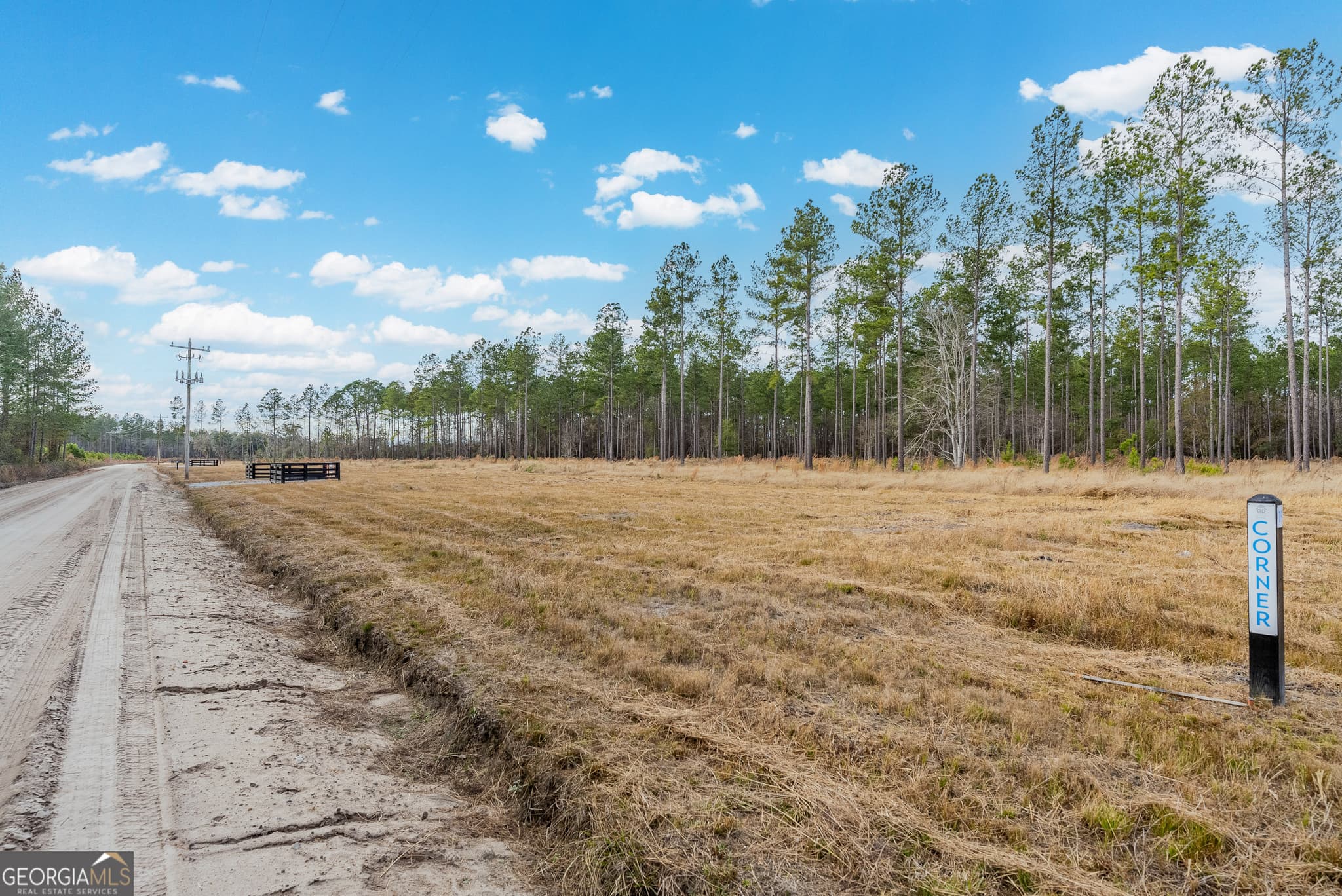 agriculture under contract at LOT 18 Lanes Church Road, Brooklet, GA 30415 — photo 2