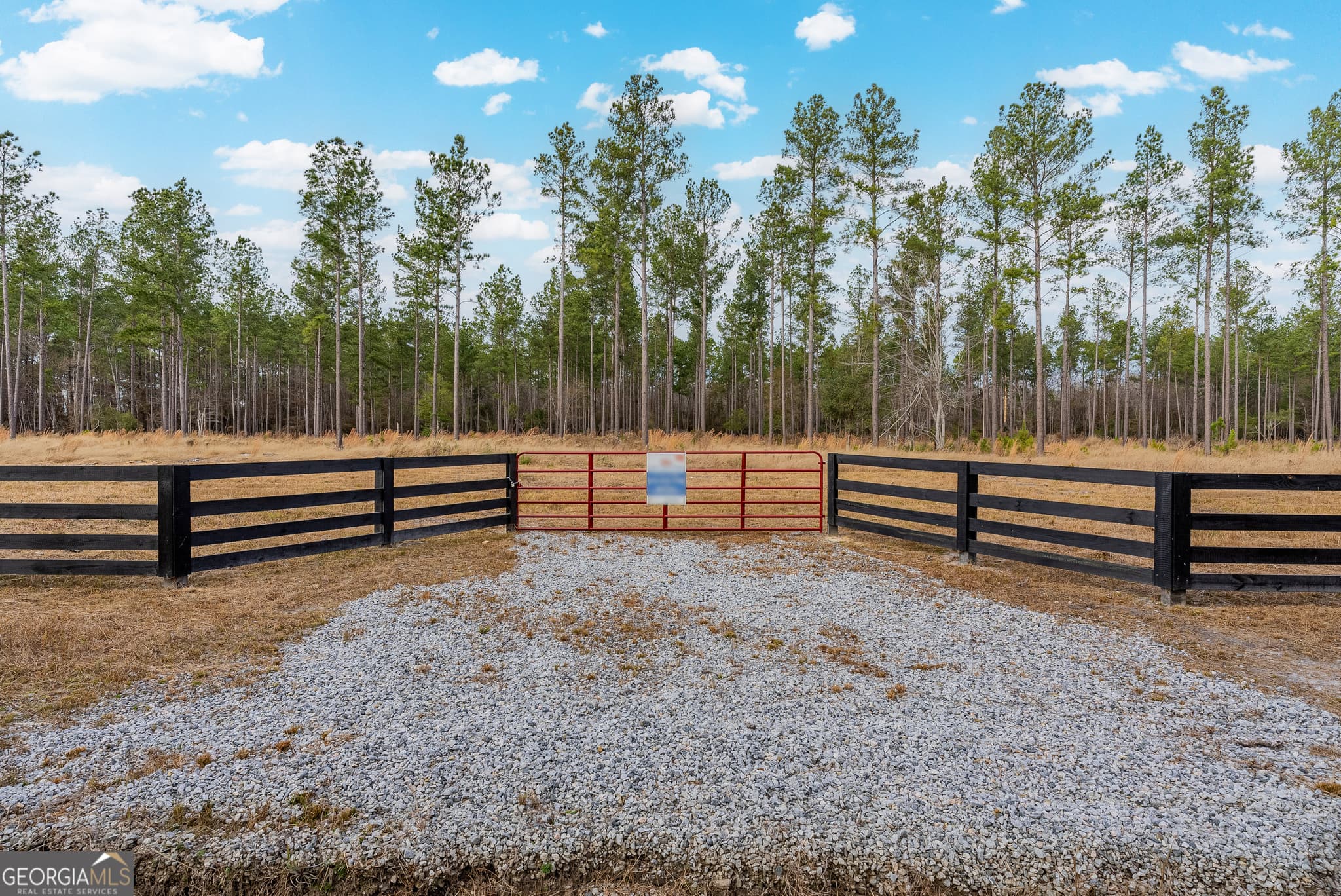 agriculture under contract at LOT 18 Lanes Church Road, Brooklet, GA 30415 — photo 3