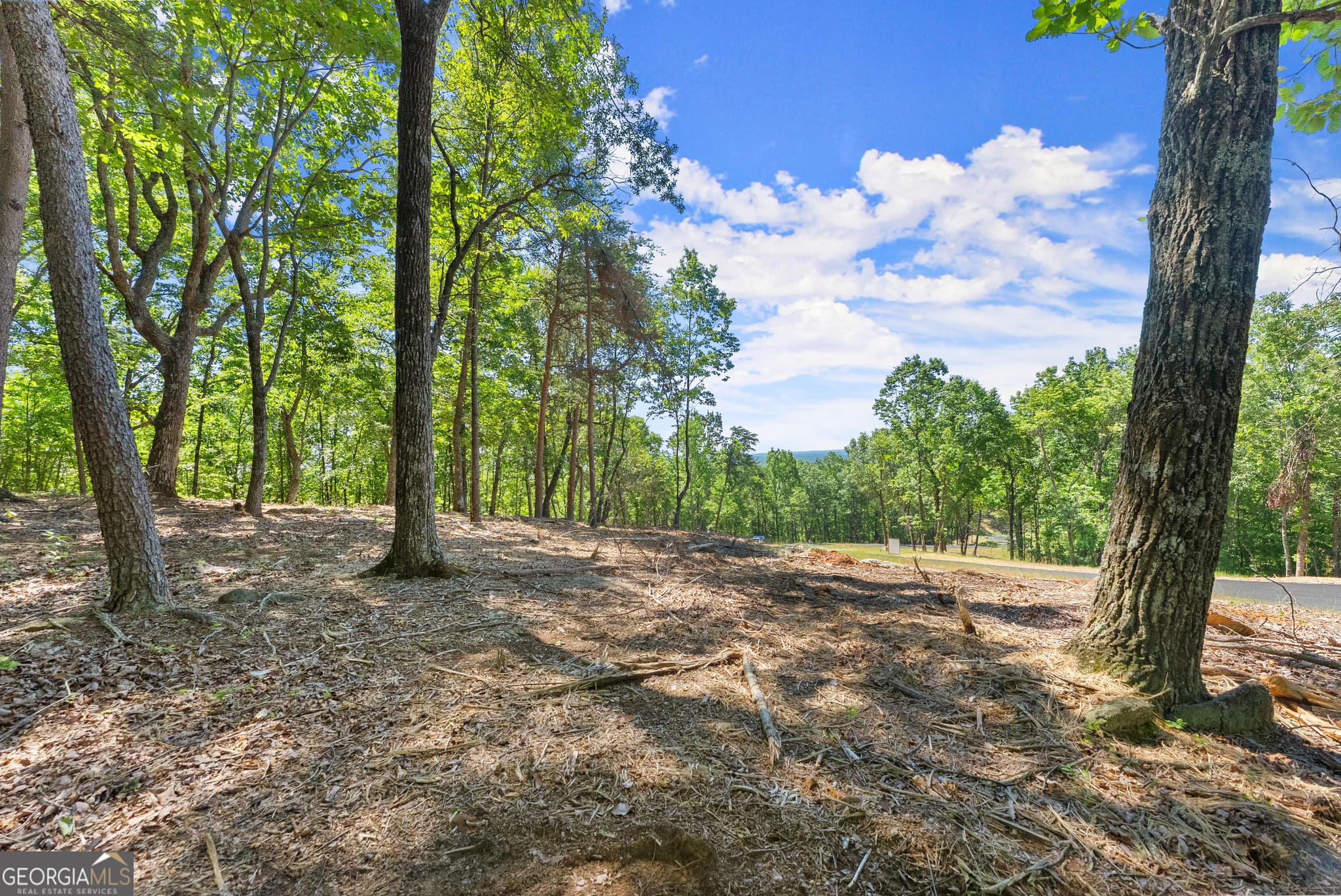 residential lot for sale at 210 Chimney Oaks Trail, Cleveland, GA 30528 — photo 3