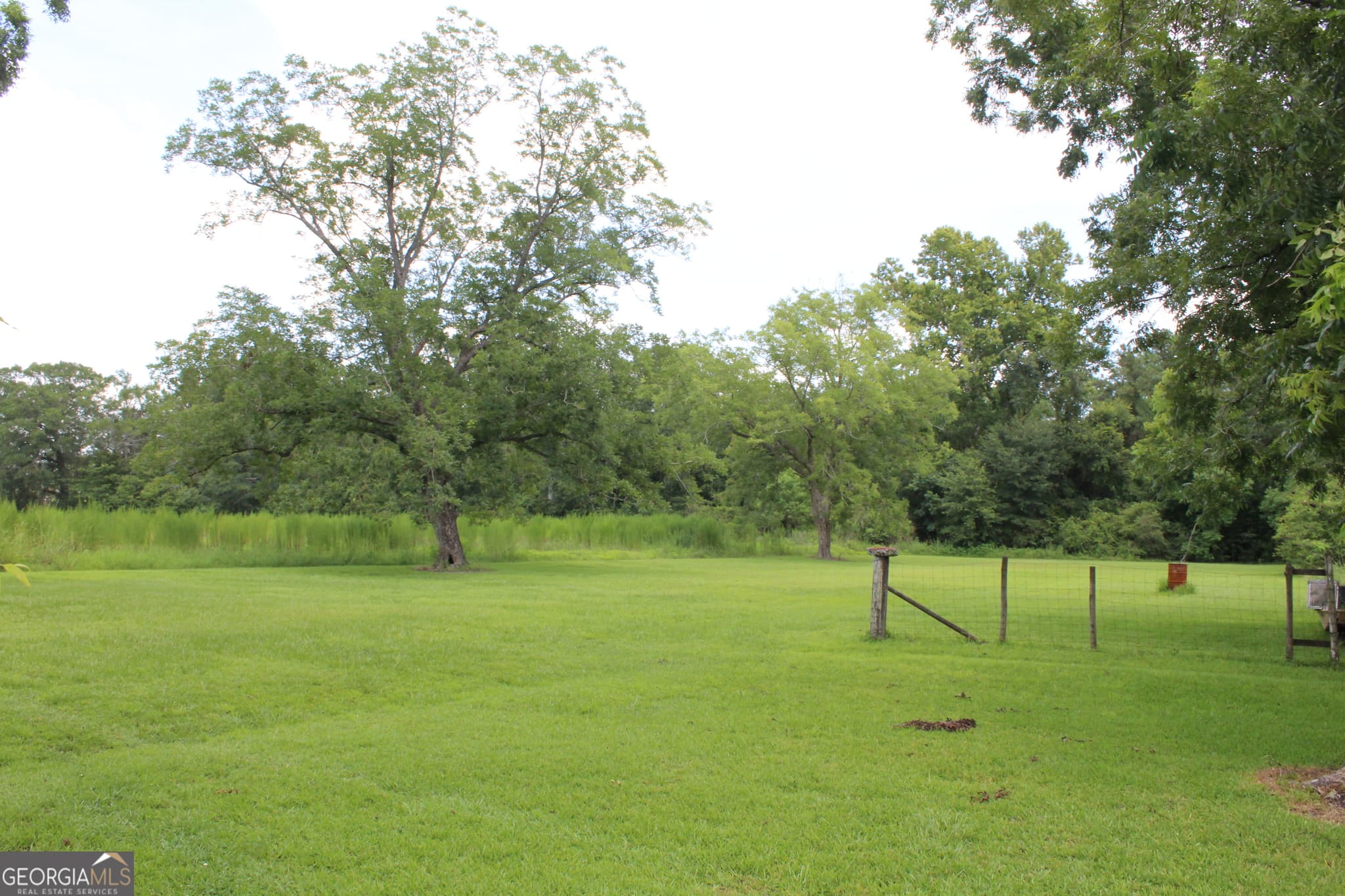 agriculture for sale at 0 Albany Avenue, Waycross, GA 31503 — photo 6