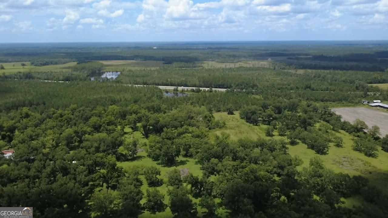 agriculture for sale at 0 Albany Avenue, Waycross, GA 31503 — photo 7