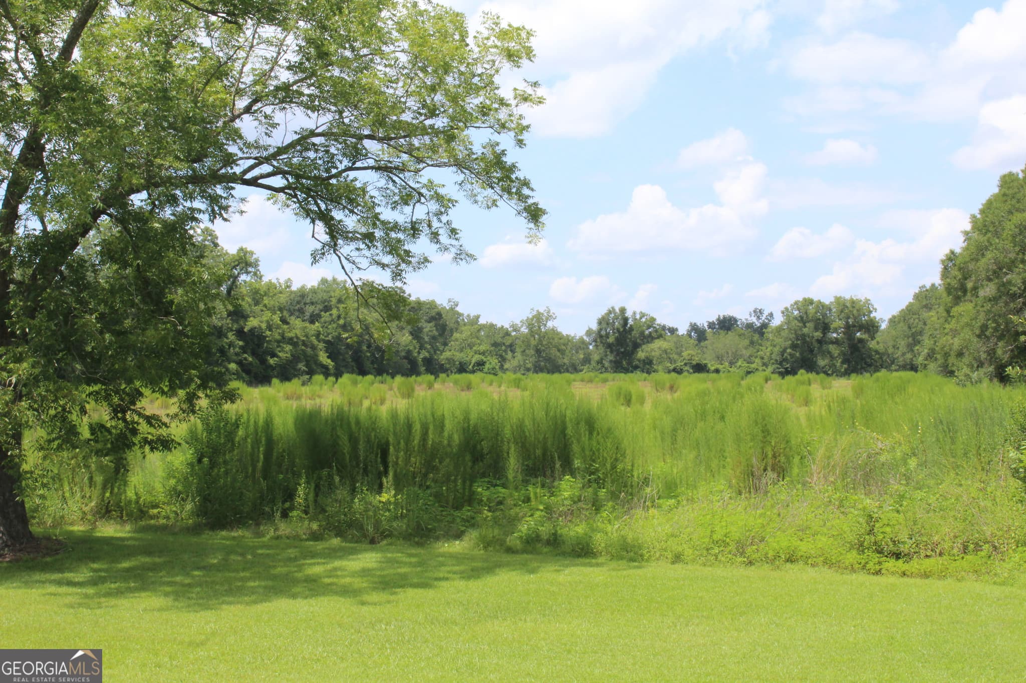 agriculture for sale at 0 Albany Avenue, Waycross, GA 31503 — photo 3