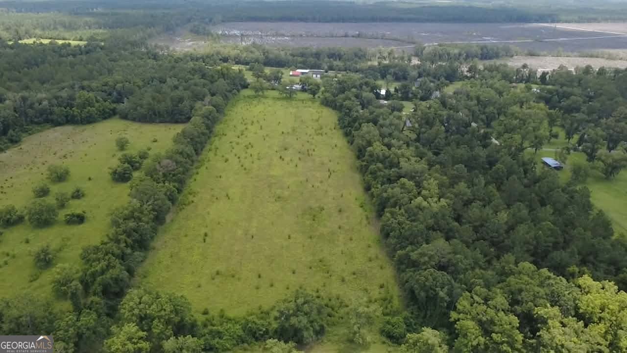 agriculture for sale at 0 Albany Avenue, Waycross, GA 31503 — photo 5