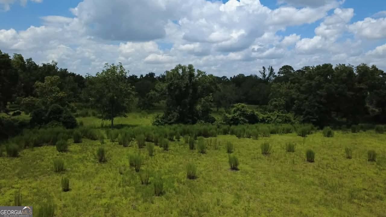 agriculture for sale at 0 Albany Avenue, Waycross, GA 31503 — photo 4