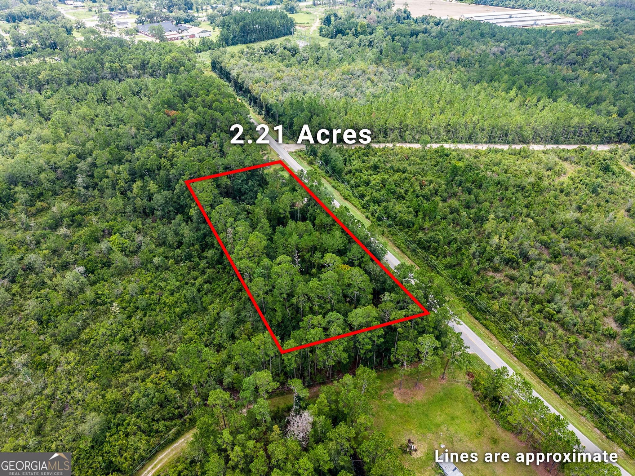 agriculture for sale at 4531 S Manor Millwood Road, Manor, GA 31550 — photo 2