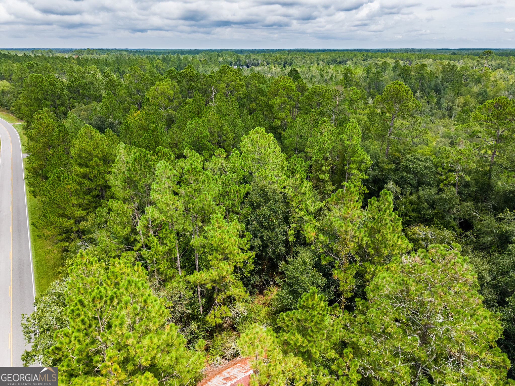 agriculture for sale at 4531 S Manor Millwood Road, Manor, GA 31550 — photo 6