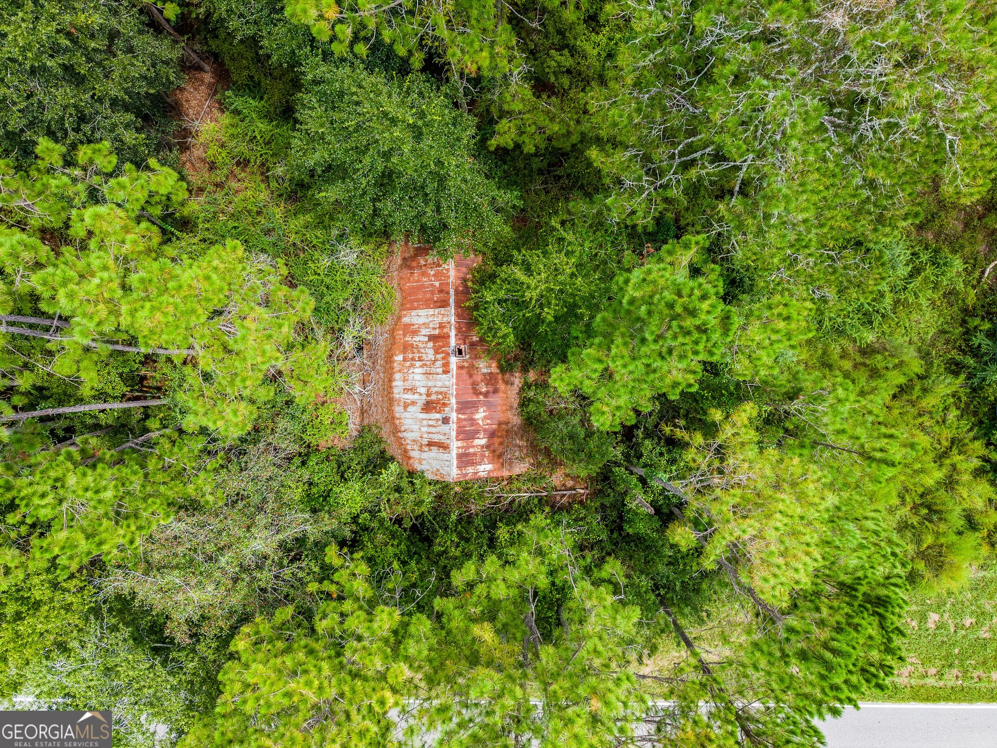 agriculture for sale at 4531 S Manor Millwood Road, Manor, GA 31550 — photo 7