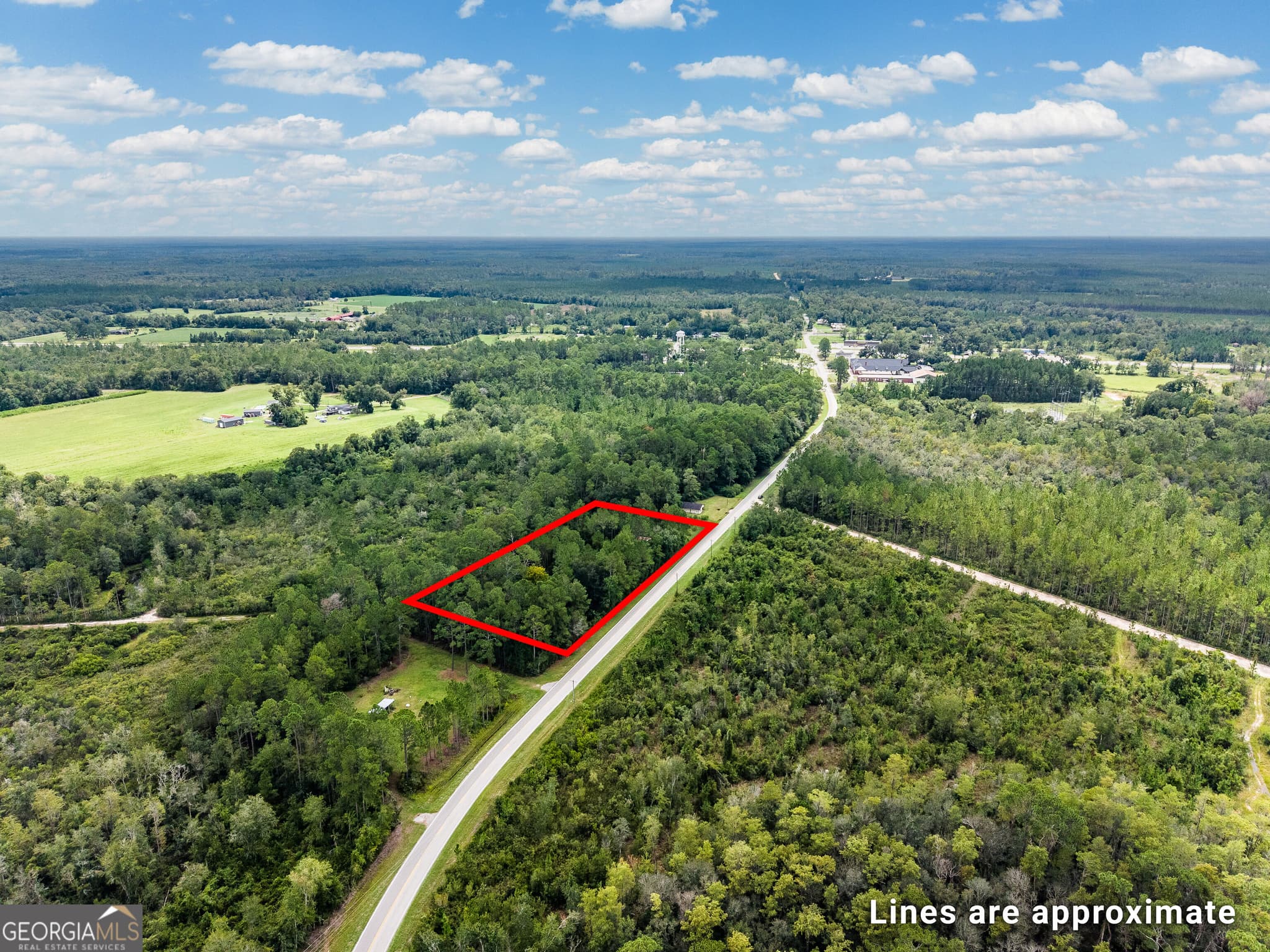 agriculture for sale at 4531 S Manor Millwood Road, Manor, GA 31550 — photo 3
