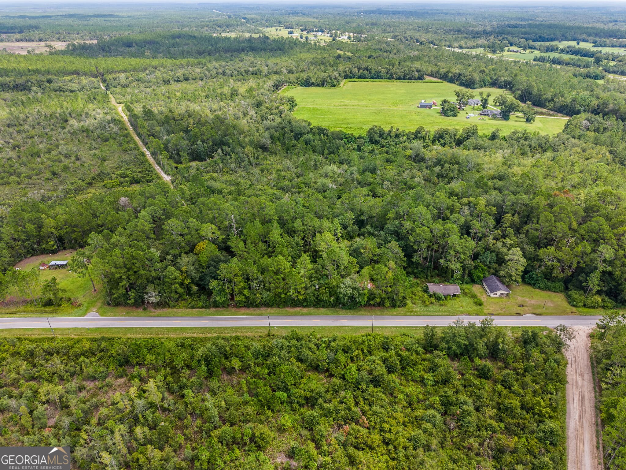 agriculture for sale at 4531 S Manor Millwood Road, Manor, GA 31550 — photo 5