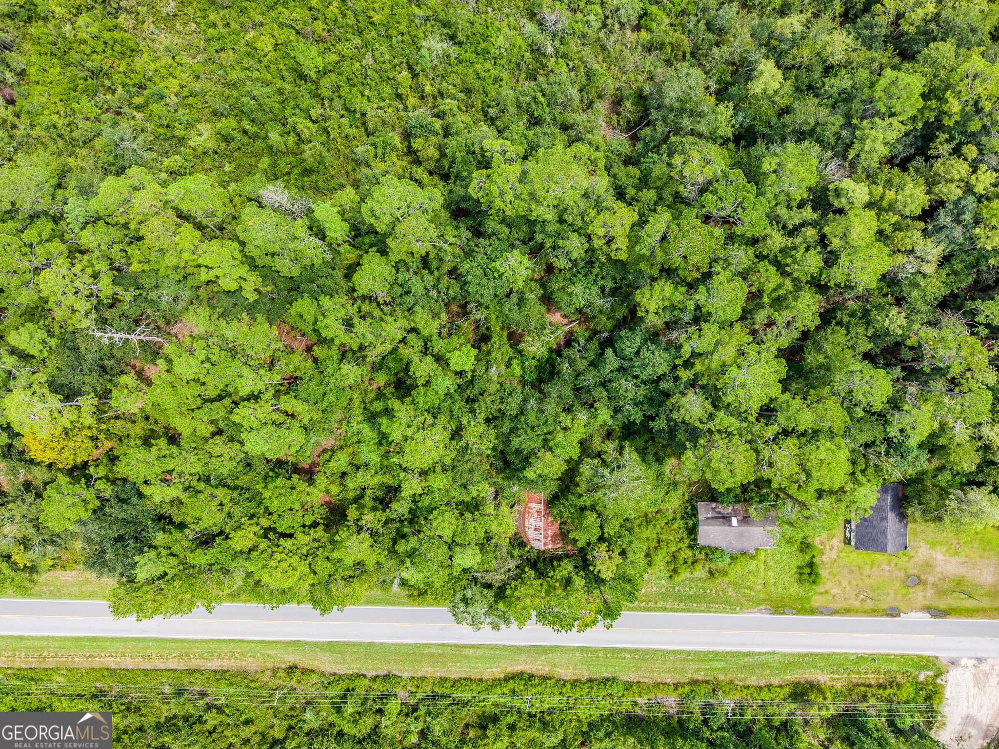 agriculture for sale at 4531 S Manor Millwood Road, Manor, GA 31550 — photo 9