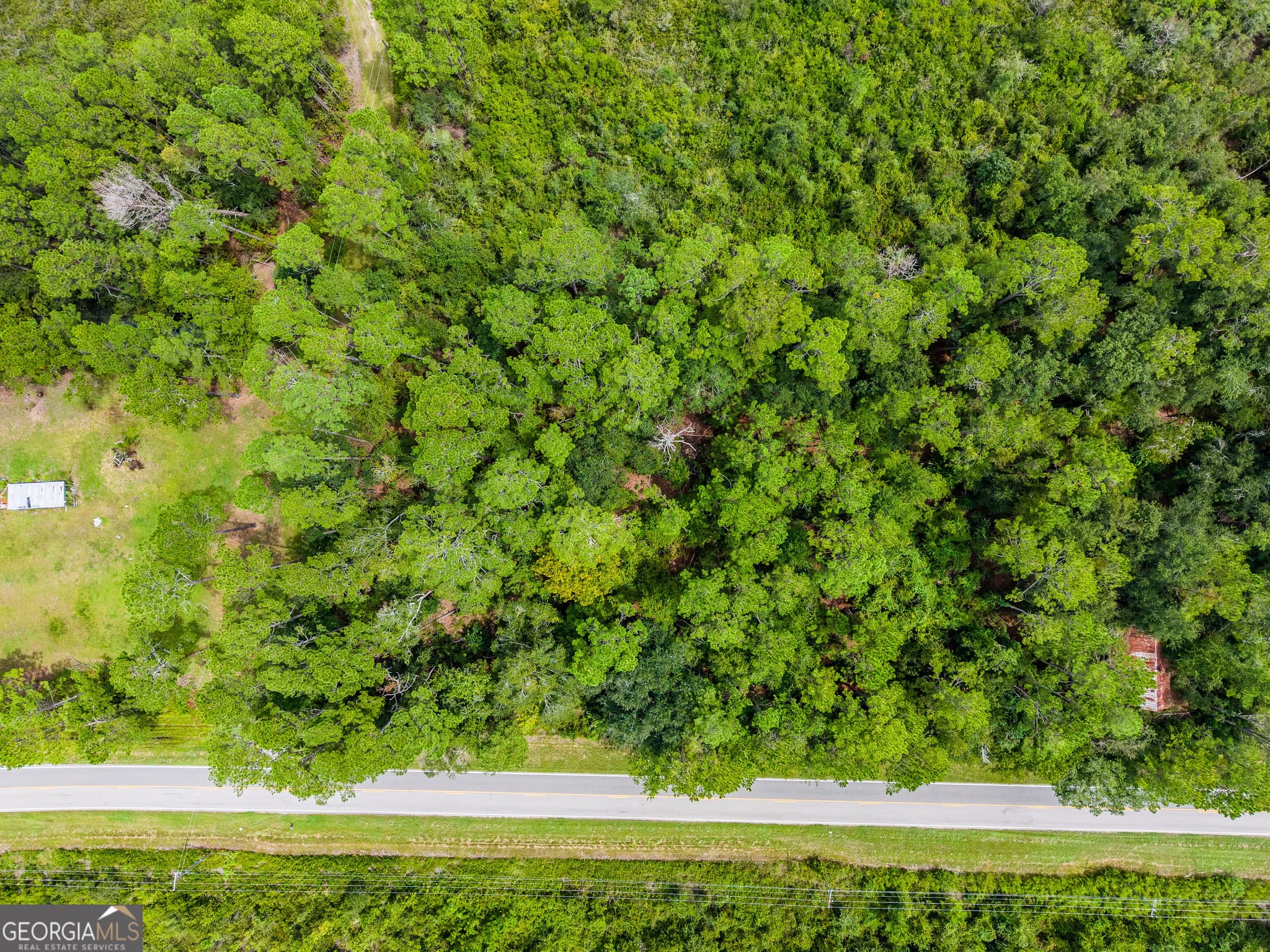 agriculture for sale at 4531 S Manor Millwood Road, Manor, GA 31550 — photo 10