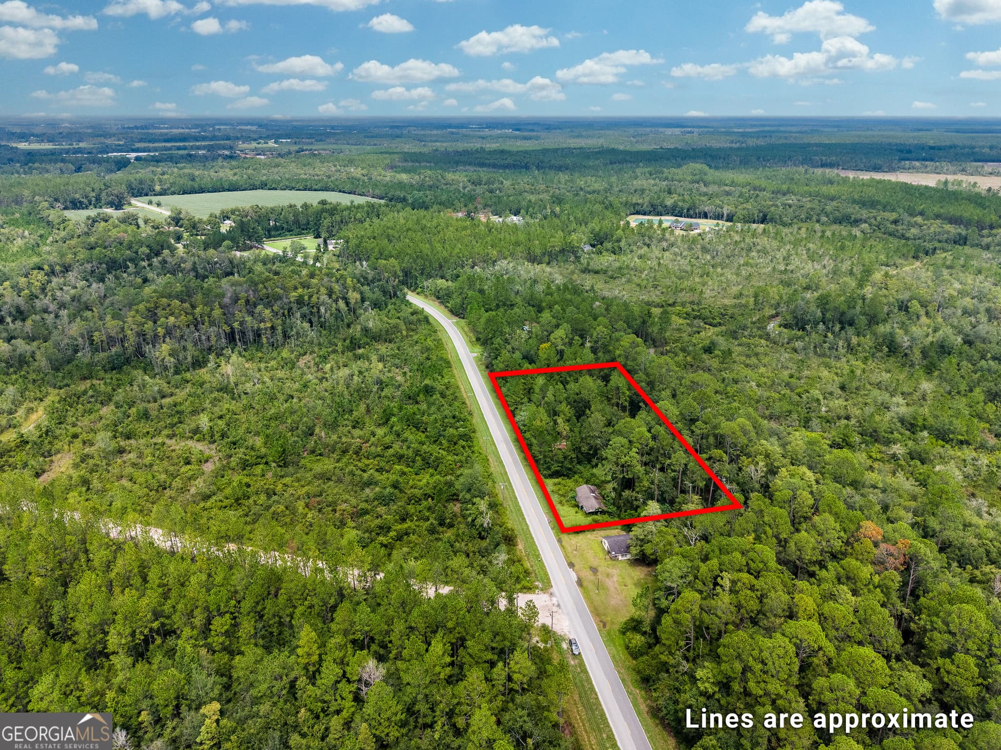 agriculture for sale at 4531 S Manor Millwood Road, Manor, GA 31550 — photo 4