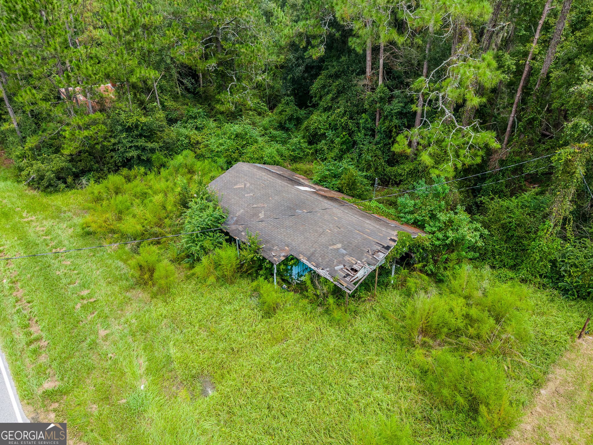 agriculture for sale at 4531 S Manor Millwood Road, Manor, GA 31550 — photo 8