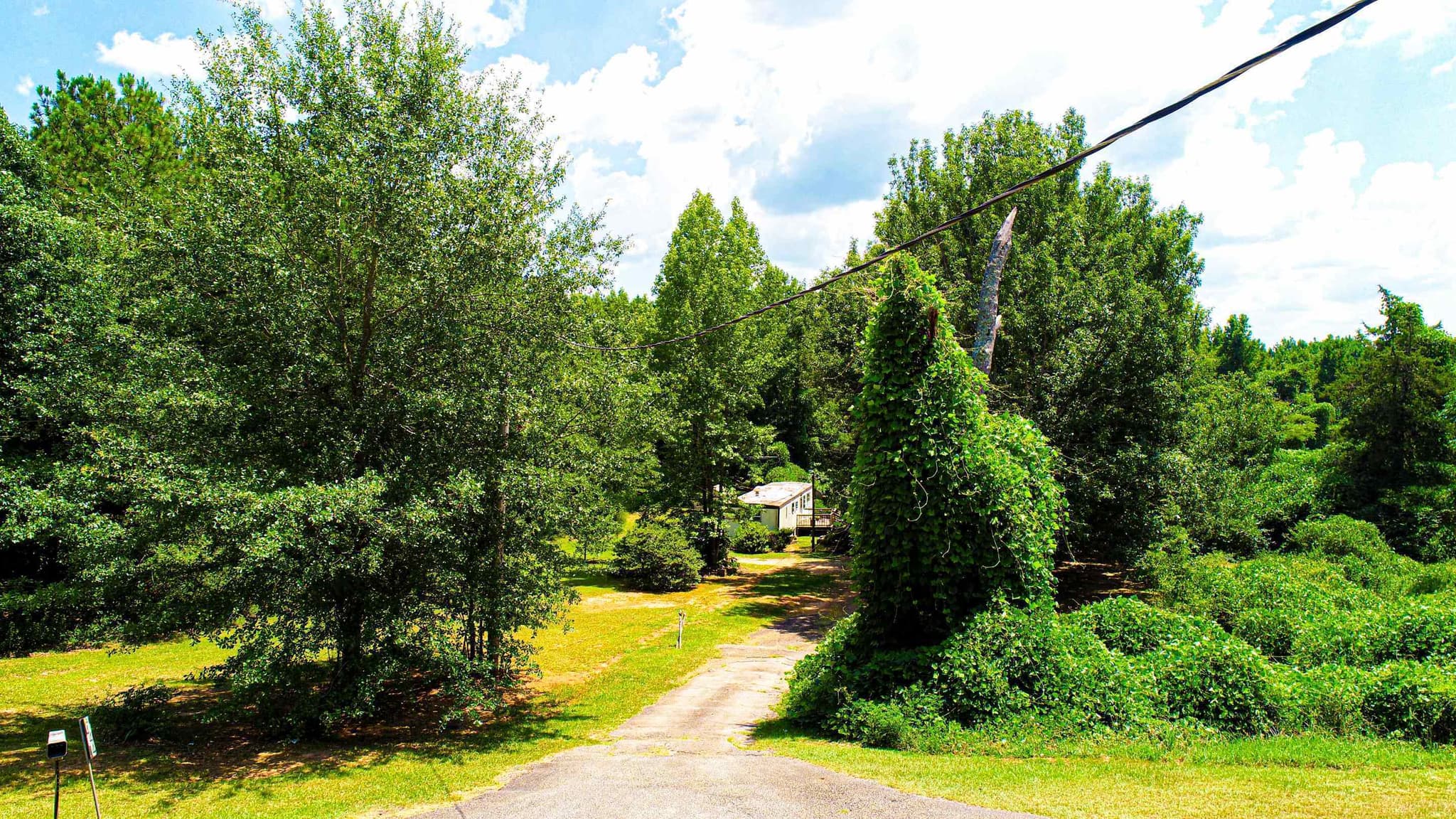 agriculture for sale at 4444 Rea Lagrange Highway, Greenville, GA 30222 — photo 5