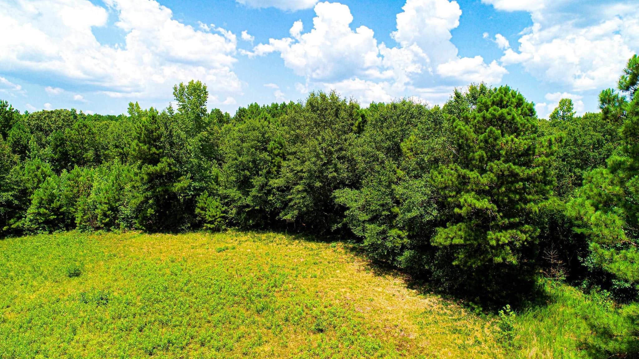 agriculture for sale at 4444 Rea Lagrange Highway, Greenville, GA 30222 — photo 9