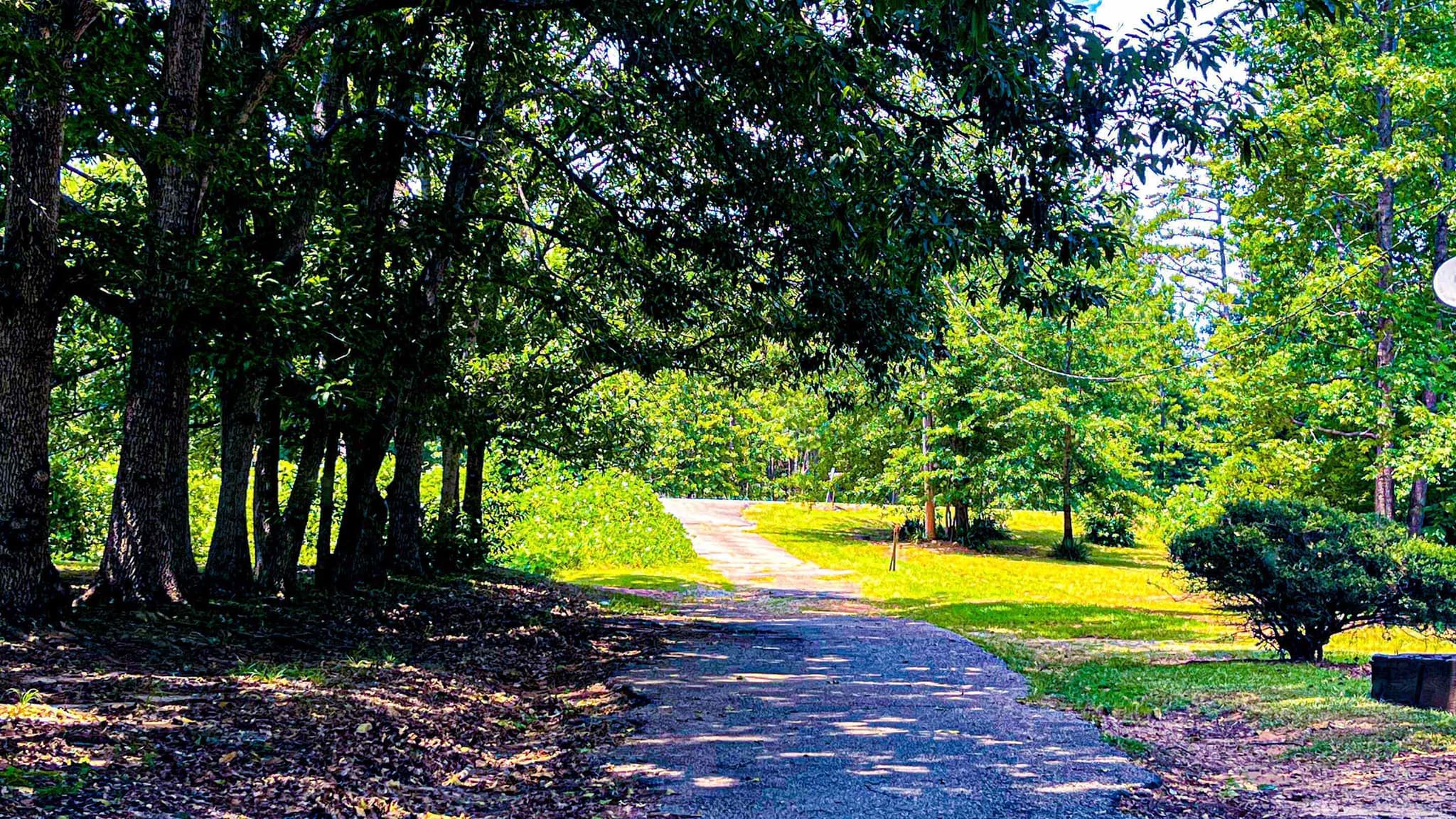agriculture for sale at 4444 Rea Lagrange Highway, Greenville, GA 30222 — photo 4