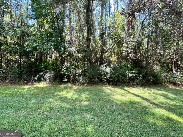 residential lot for sale at LOT 19 Lighthouse Circle, Woodbine, GA 31569 — photo 4
