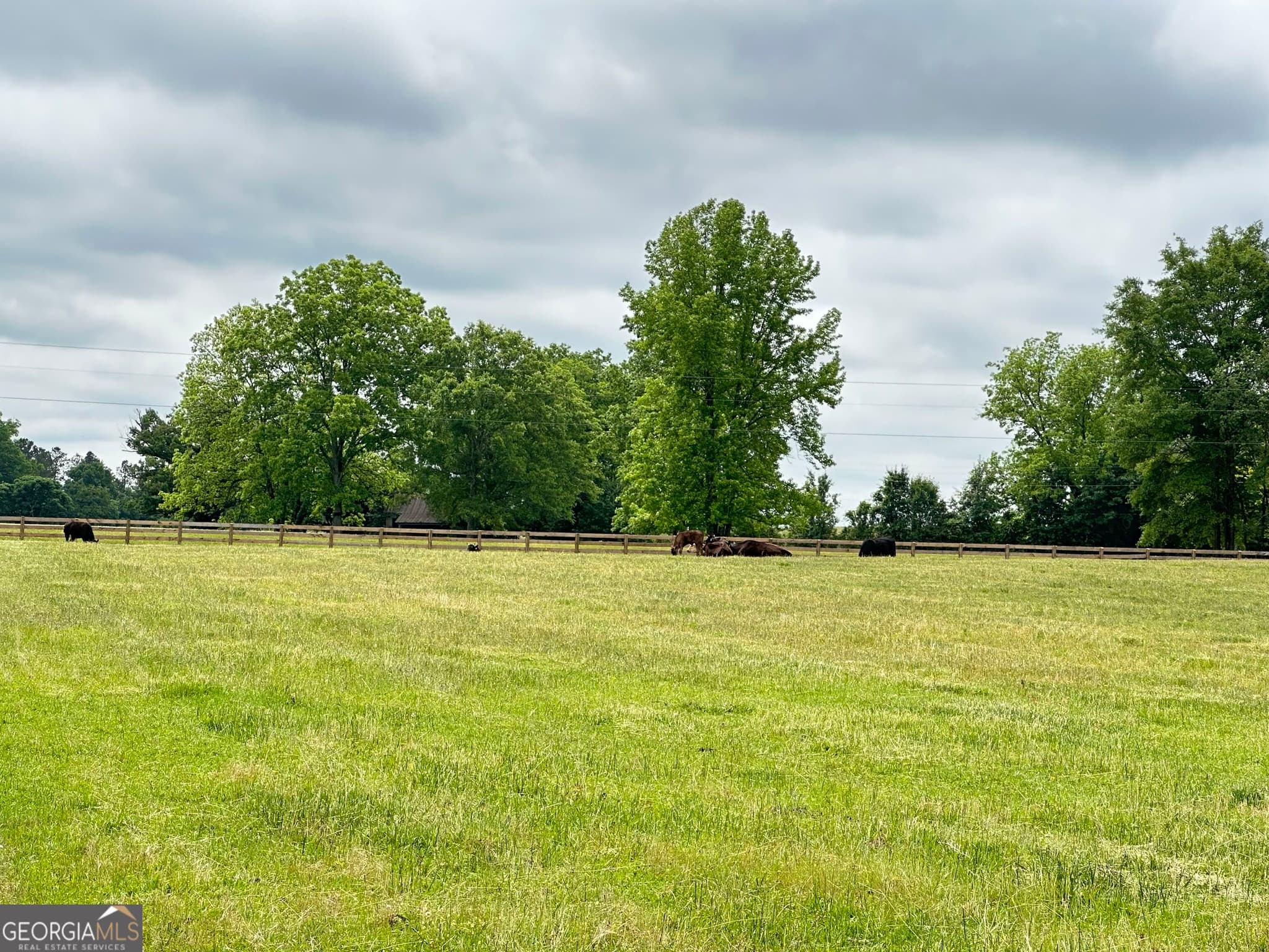 residential lot for sale at 1423 Imlac Road, Woodbury, GA 30293 — photo 7