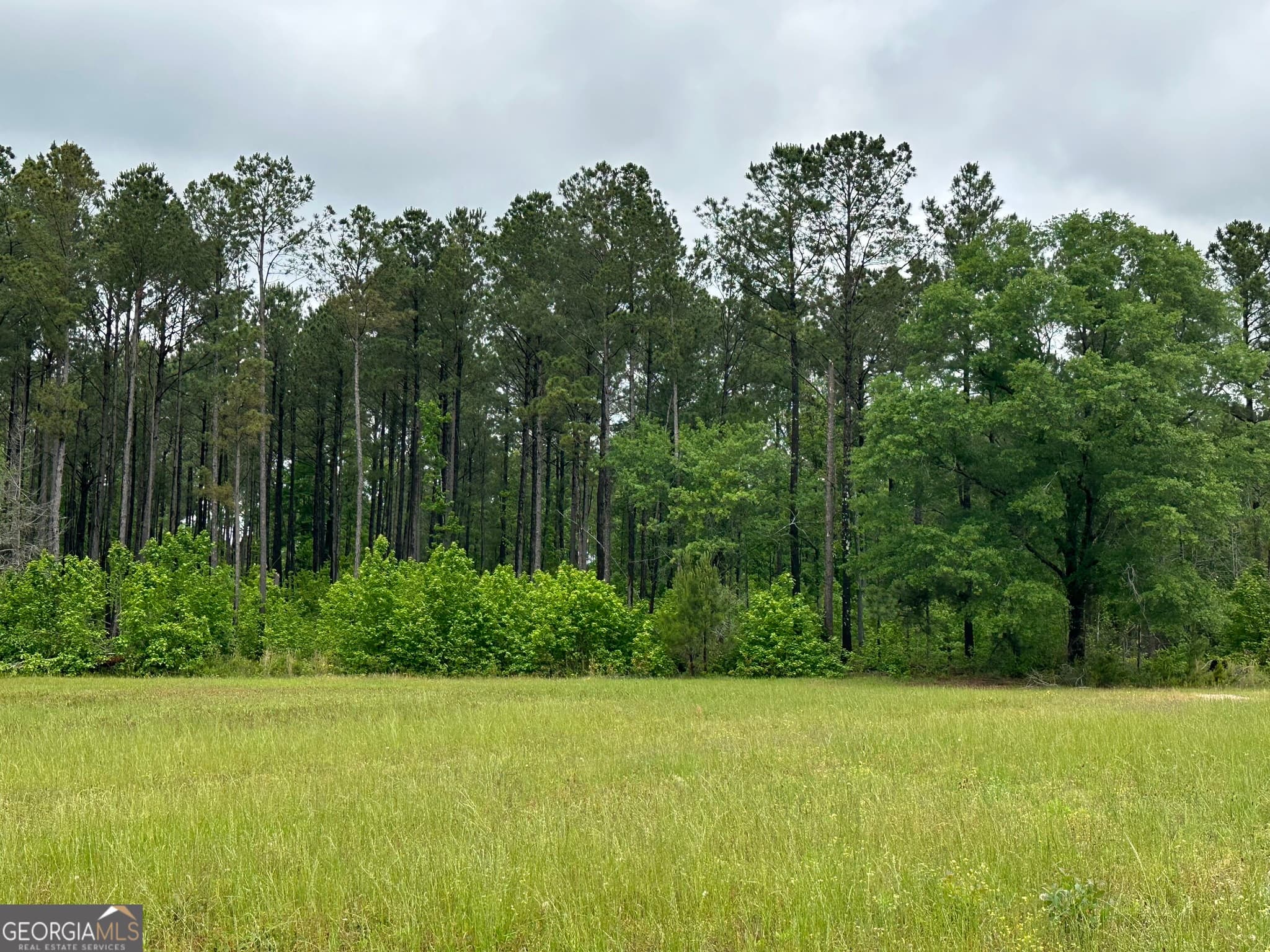 residential lot for sale at 1423 Imlac Road, Woodbury, GA 30293 — photo 8