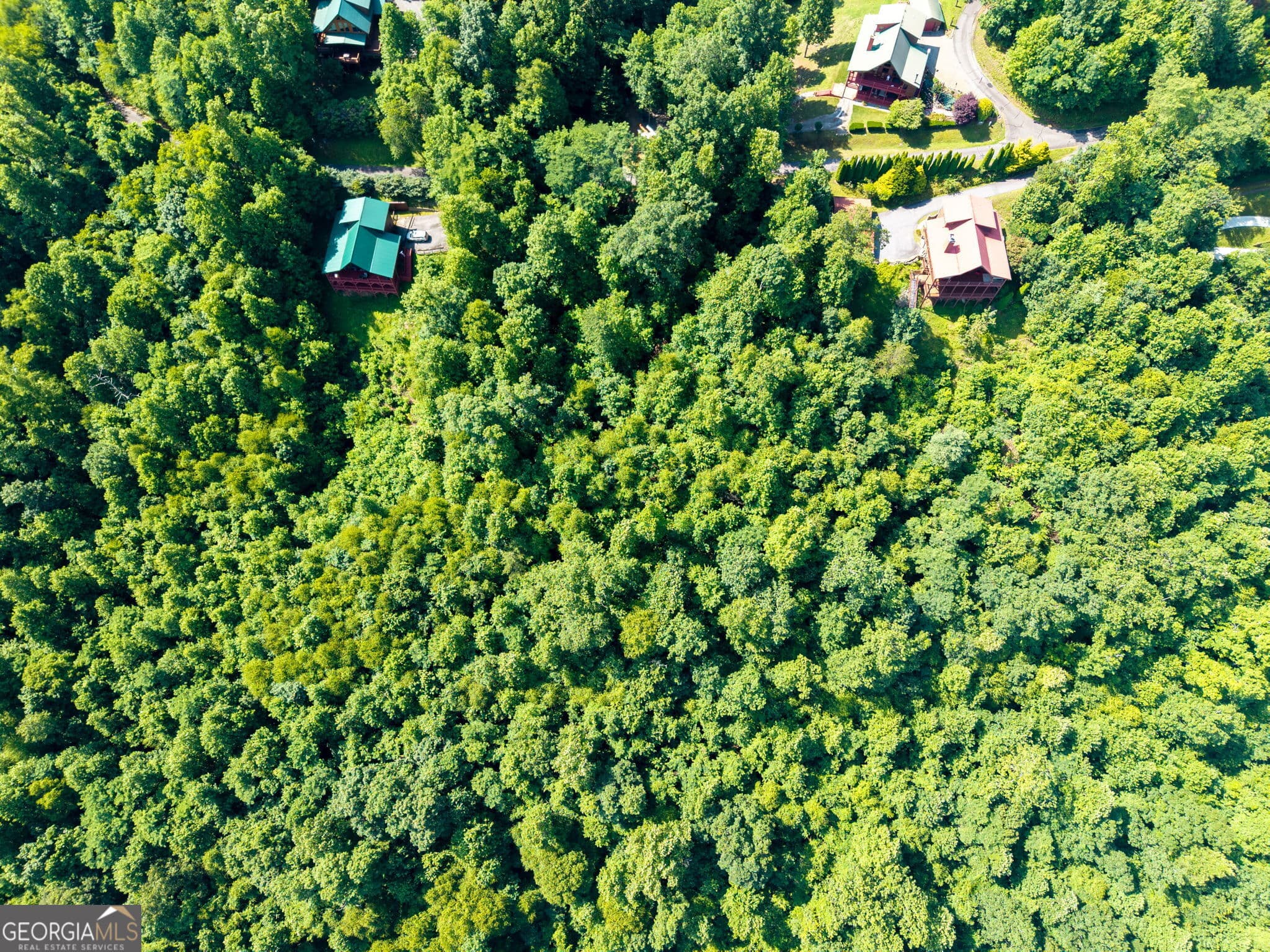 residential lot for sale at 46 Buck Ridge, Murphy, NC 28906 — photo 7