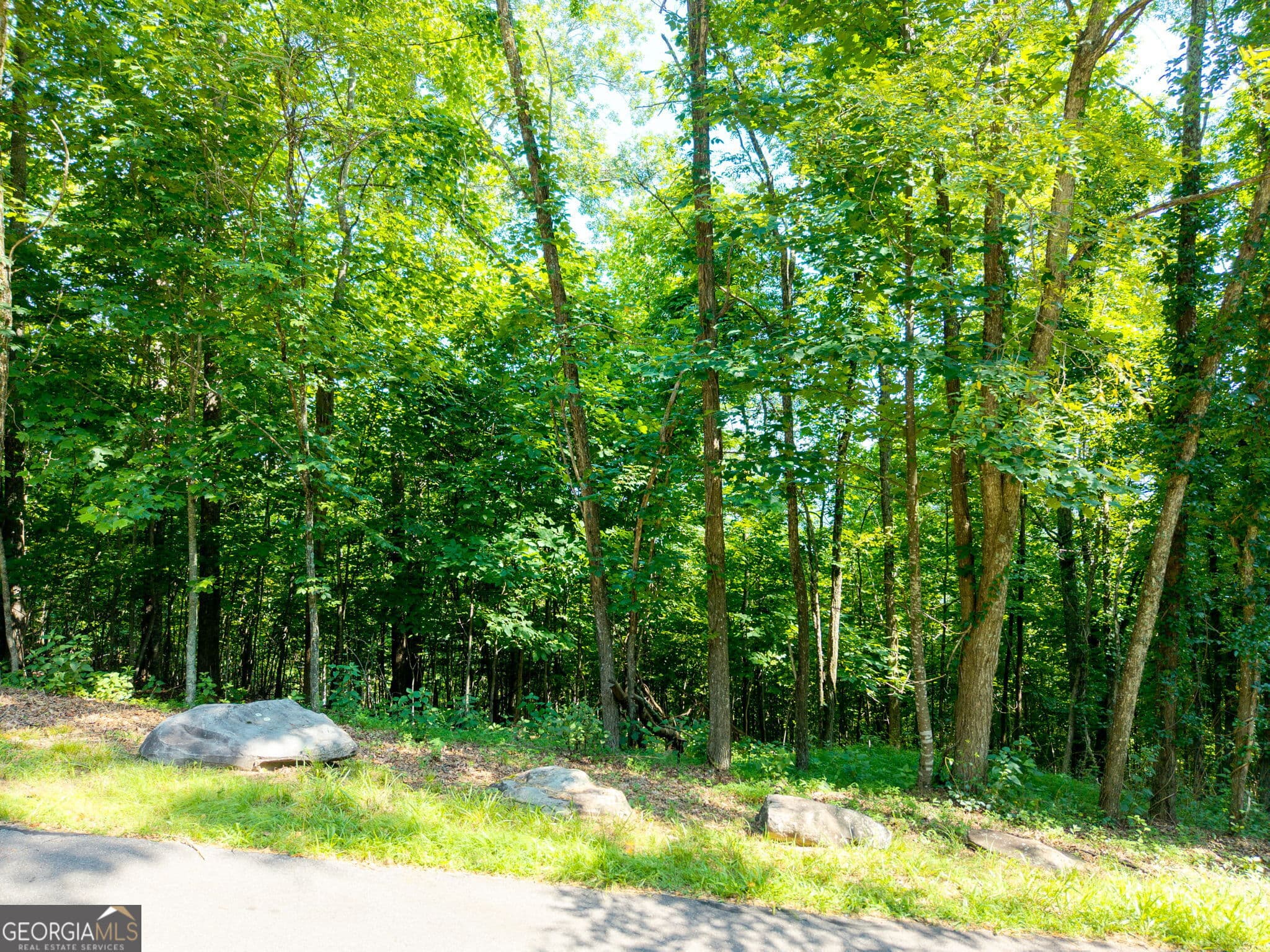 residential lot for sale at 46 Buck Ridge, Murphy, NC 28906 — photo 1 of 17