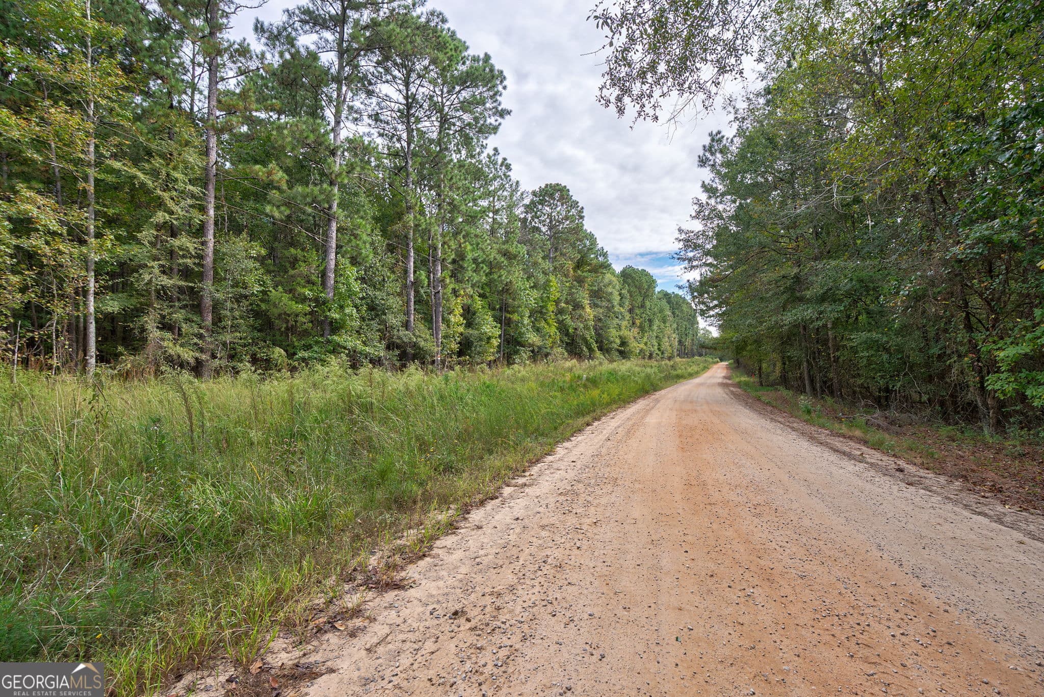 unimproved land for sale at 0 Lower Wirebridge Road, Stephens, GA 30667 — photo 2