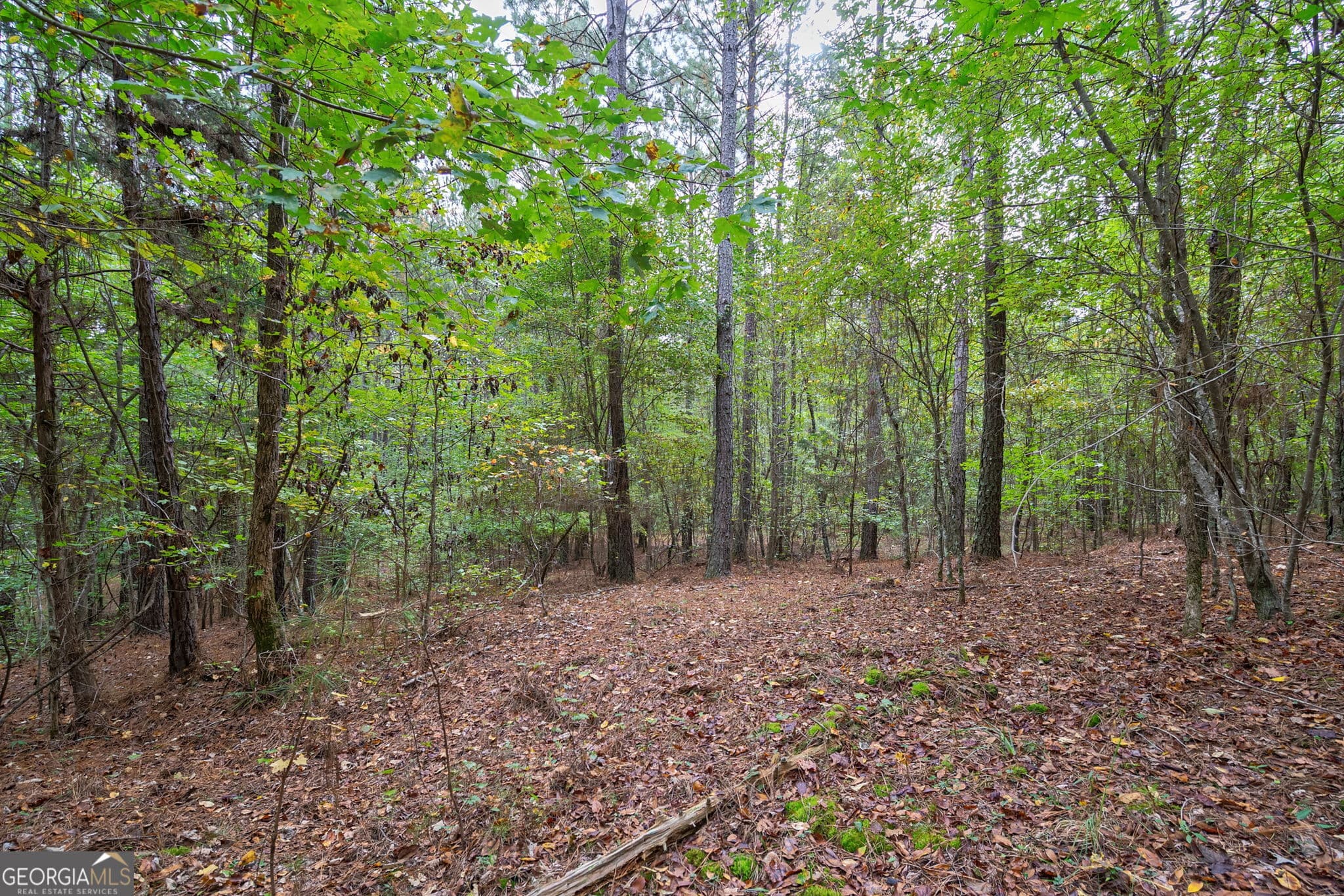 unimproved land for sale at 0 Lower Wirebridge Road, Stephens, GA 30667 — photo 7
